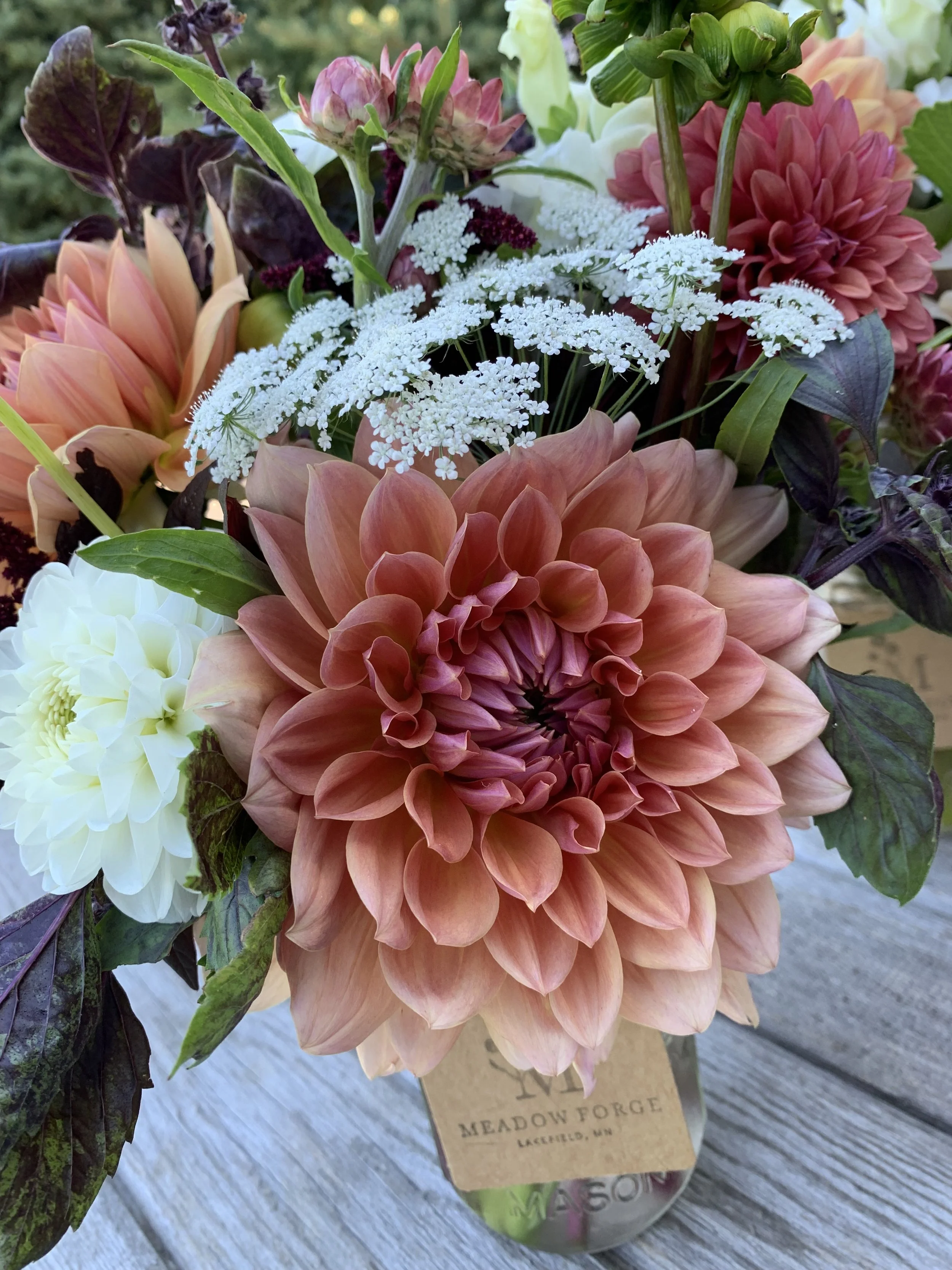 2026 Summer Business Subscription (8 weeks)