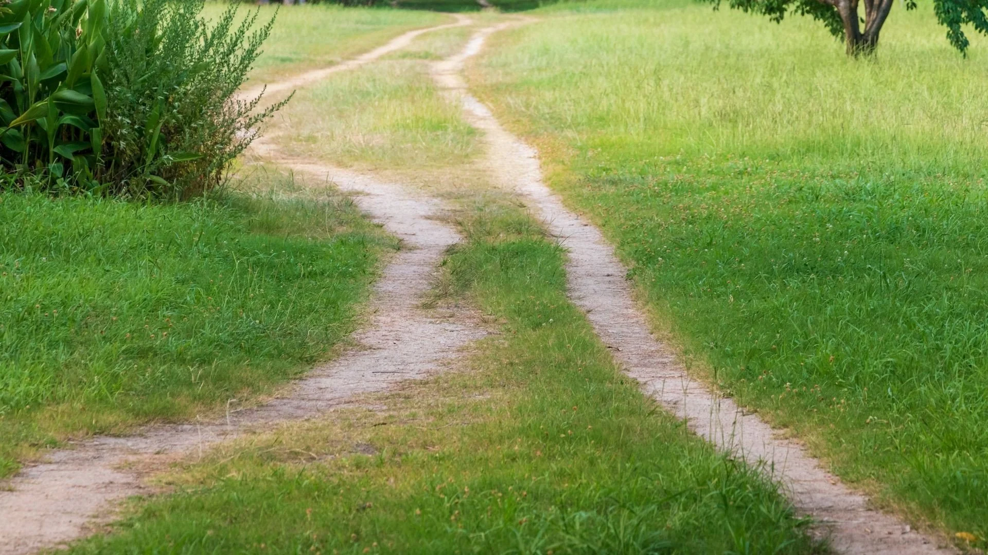 The Advice I Had to Rethink