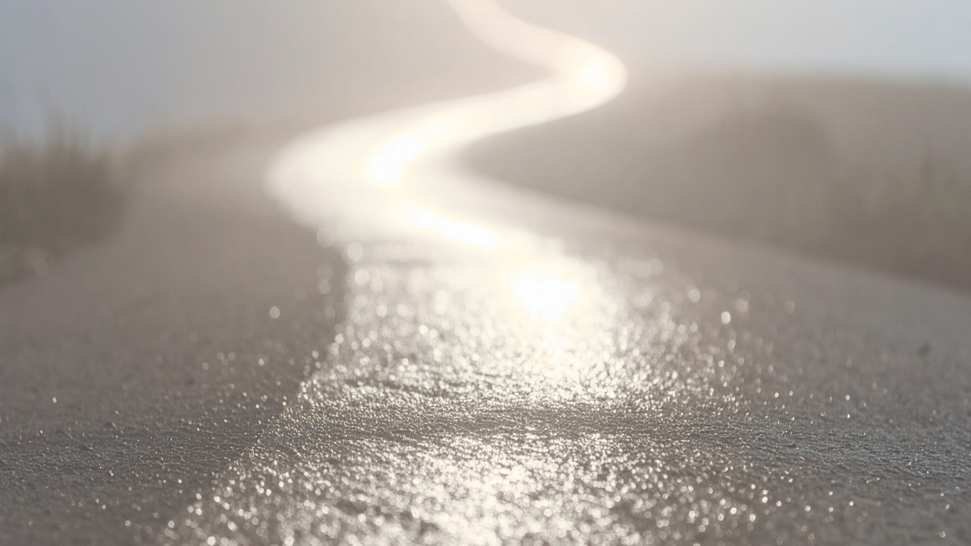 A winding path softened by morning light fades into the distance, suggesting a future that’s present but not yet fully visible.