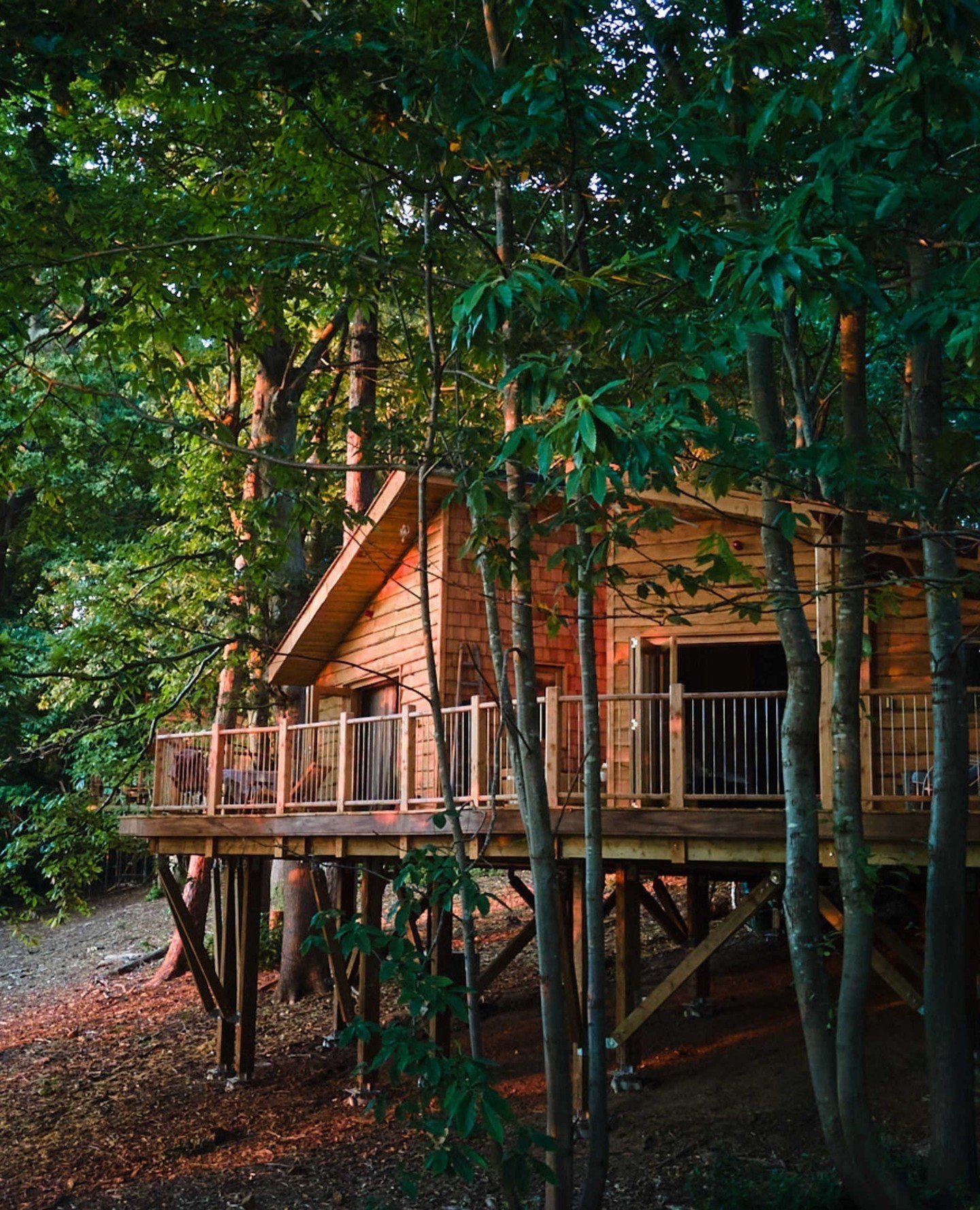 Golden hour at our treehouses ✨⁠
⁠
We've only got a few more availabilities for May, secure your cabin escape via the link in our bio. ⁠