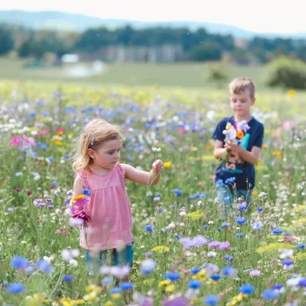 What’s On This July