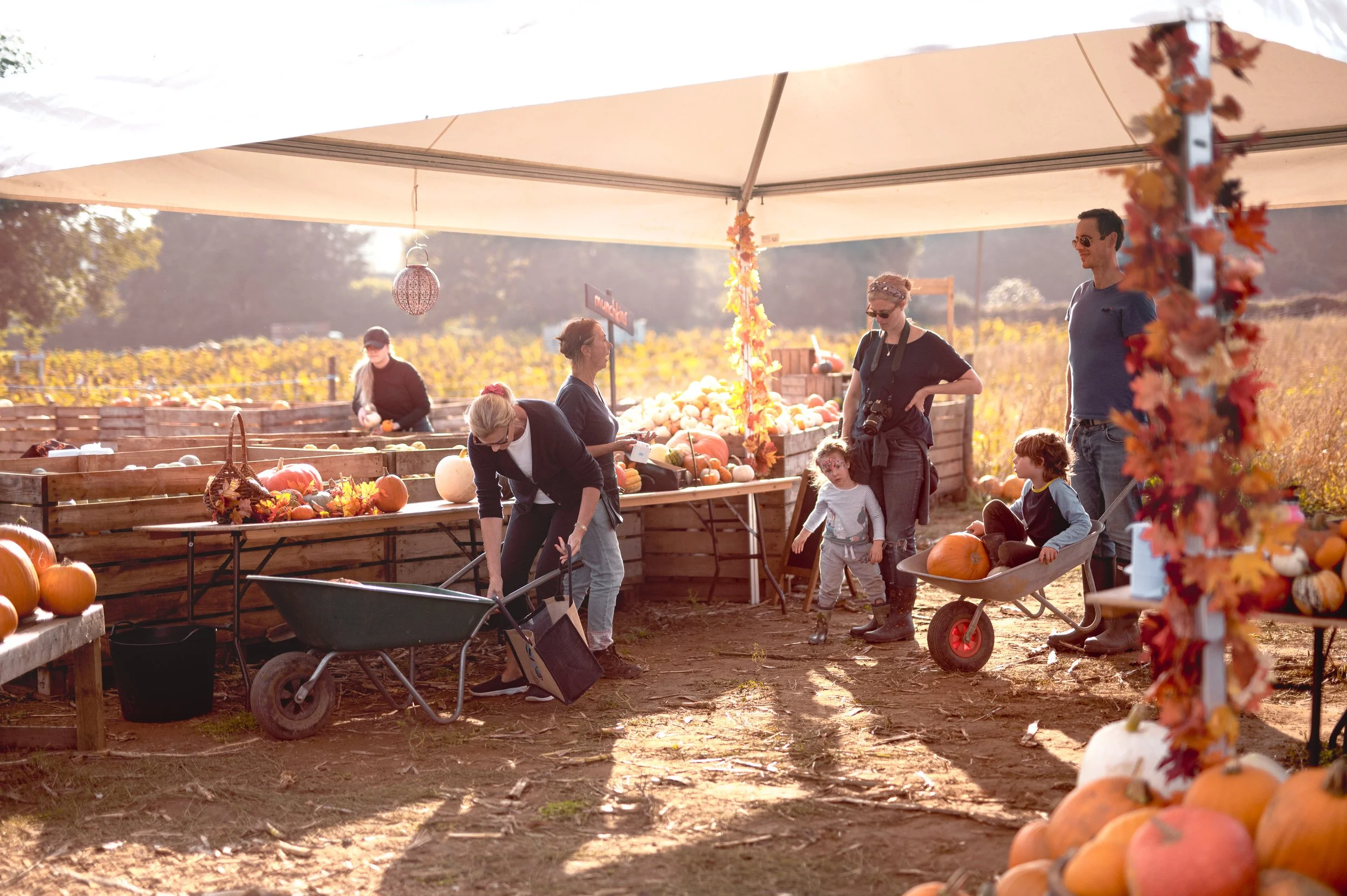 What’s On This November