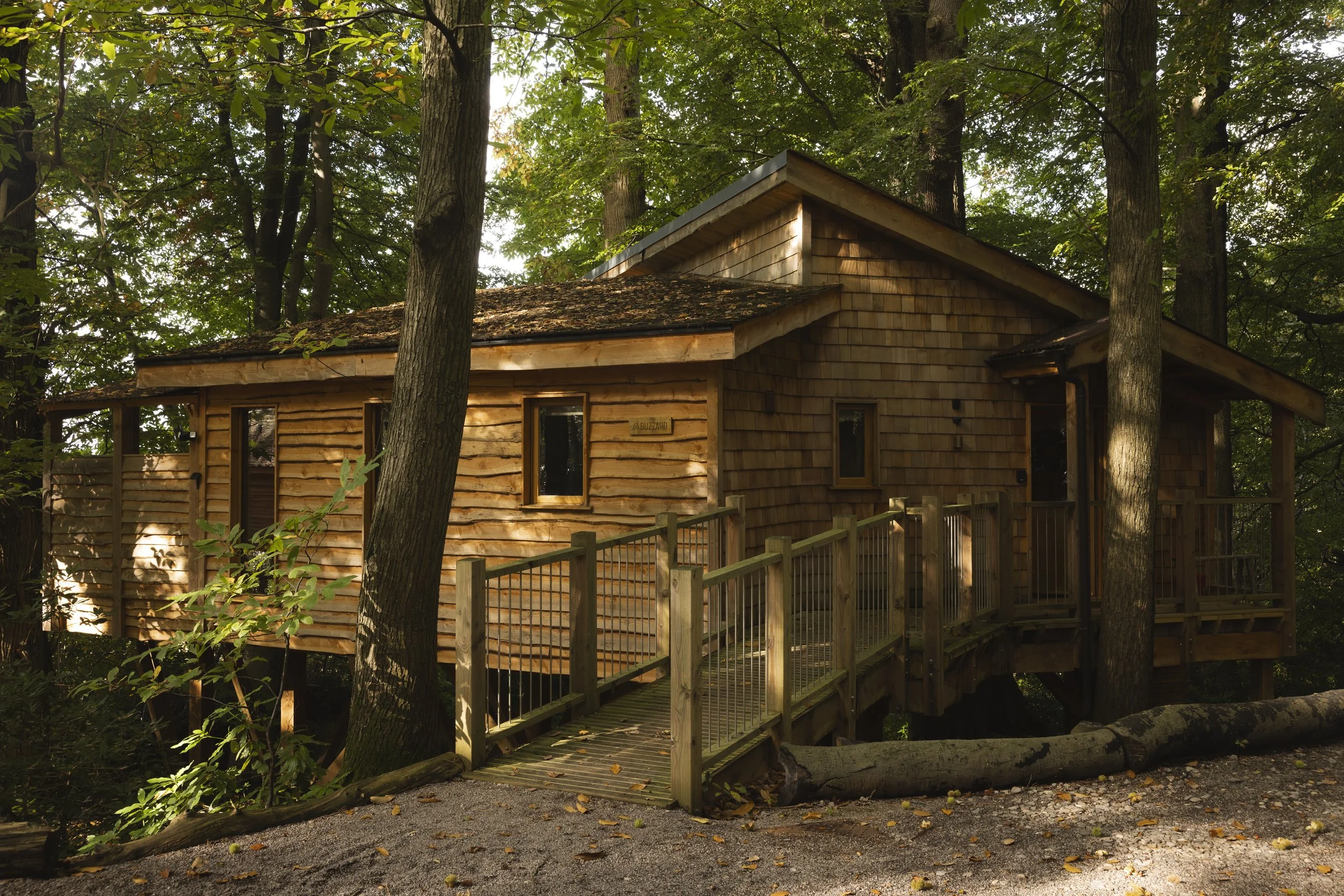 TreehouseRetreats-7901.jpg