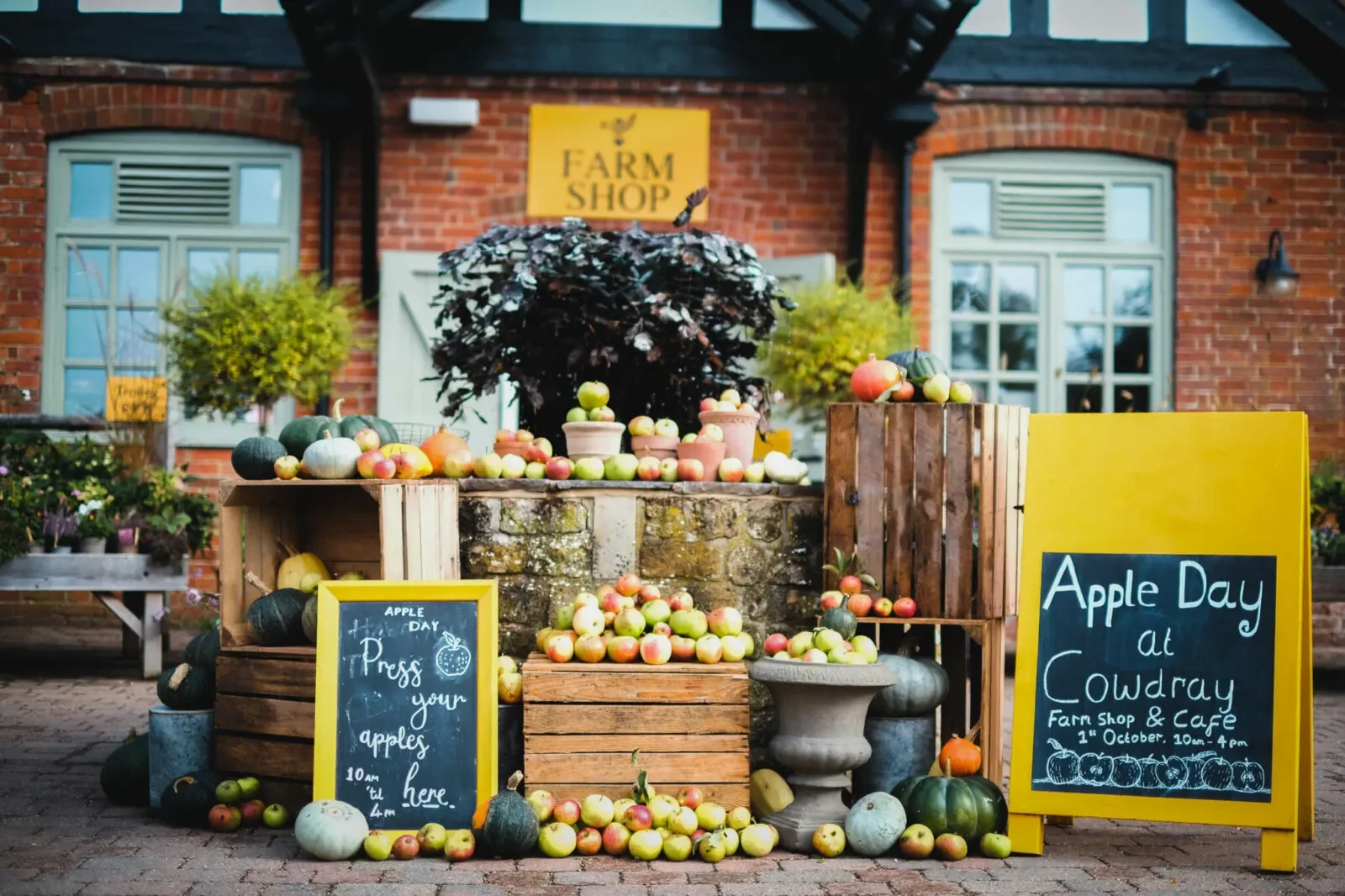 What’s On This October