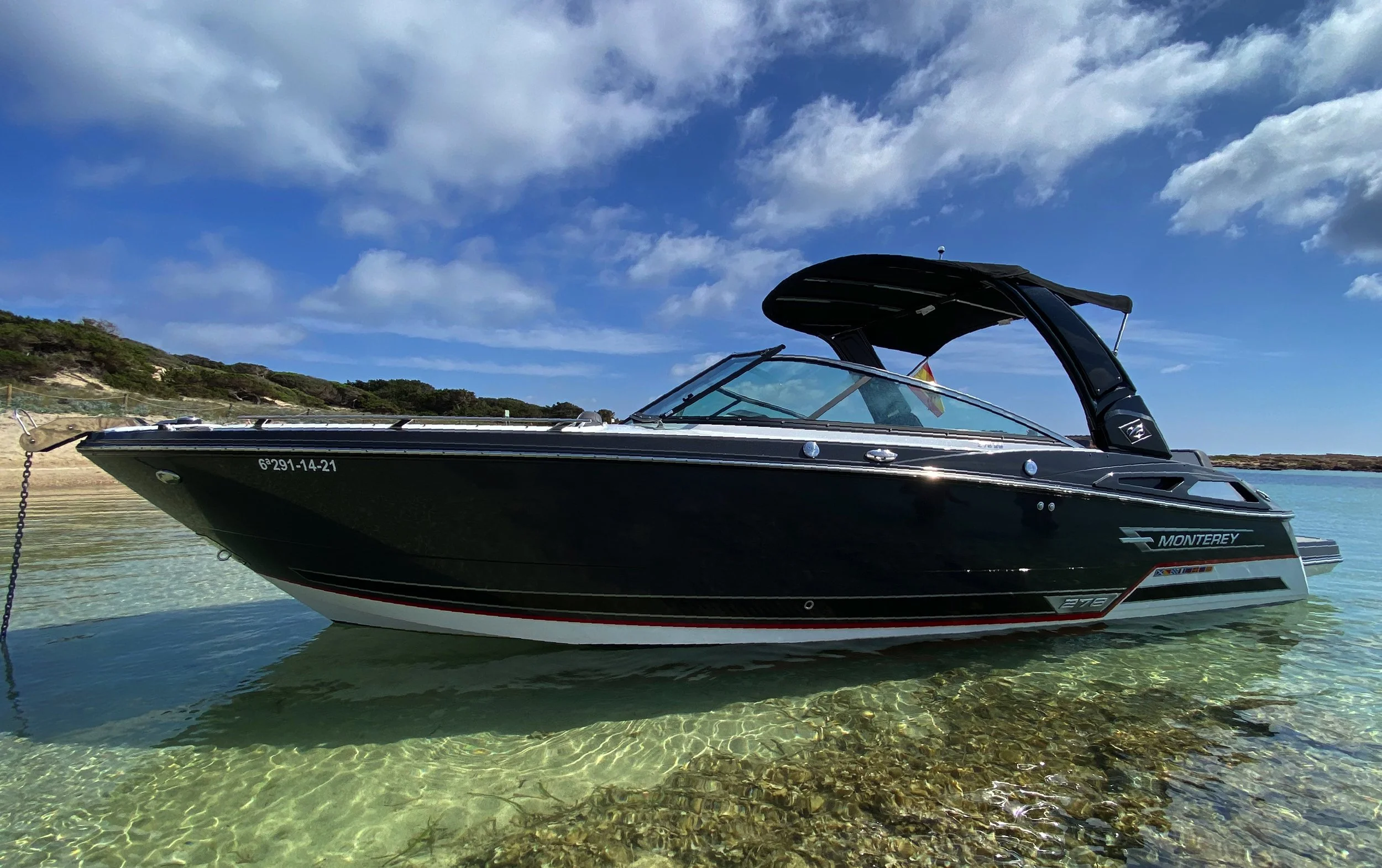 1 monterey recortada.jpg