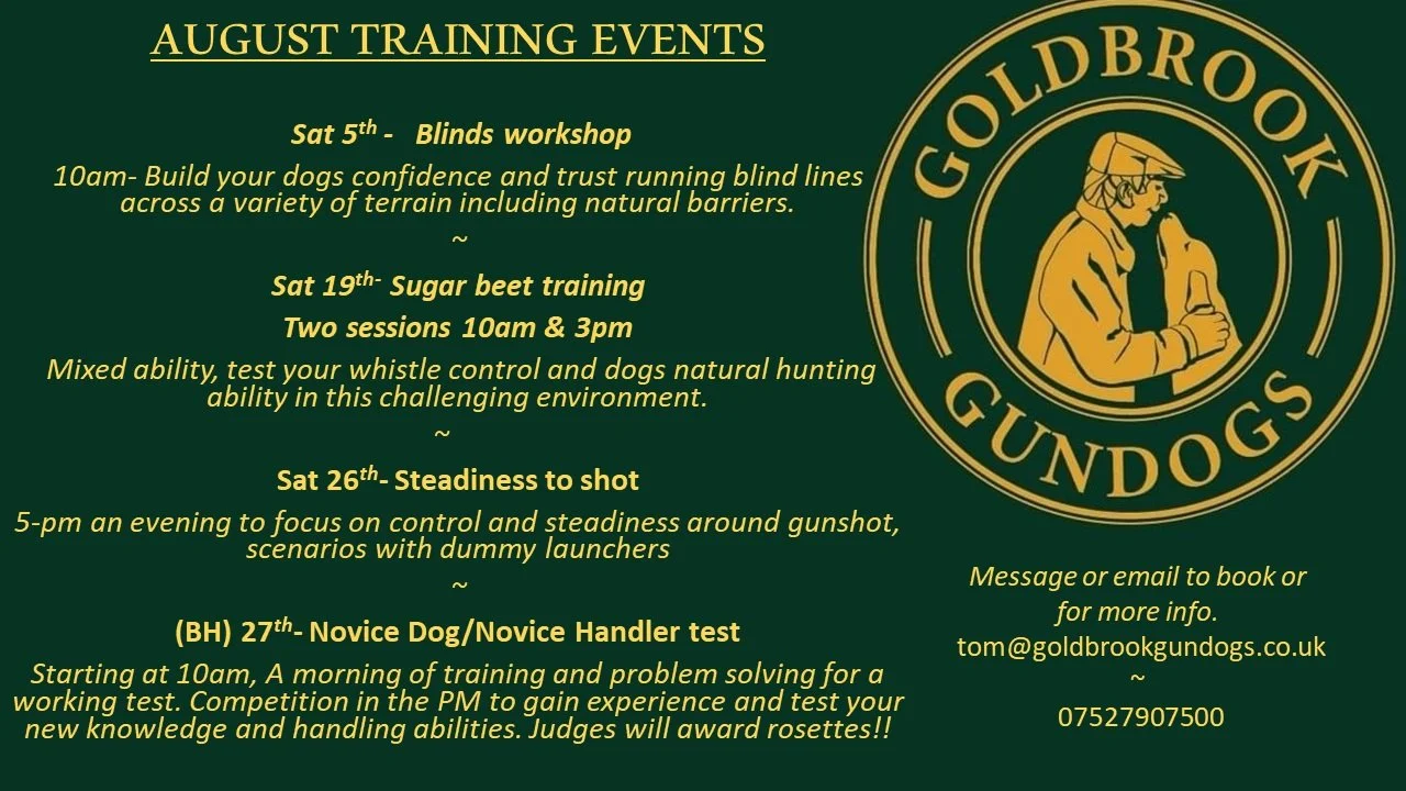 GOLDBROOK GUNDOGS
