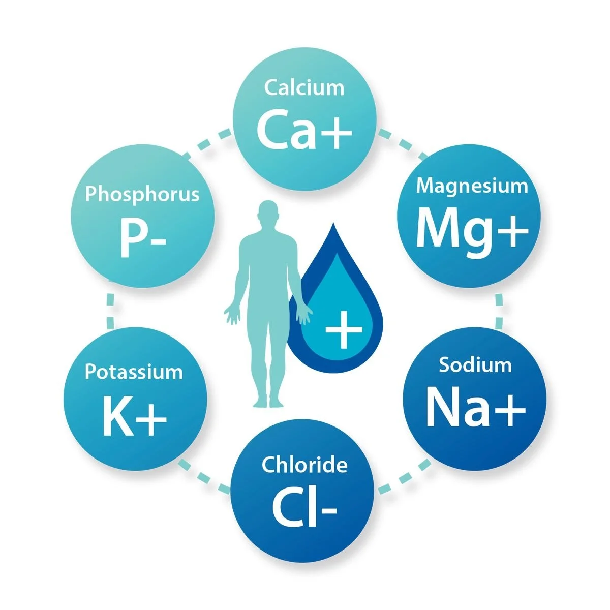 LET’S TALK ELECTROLYTES