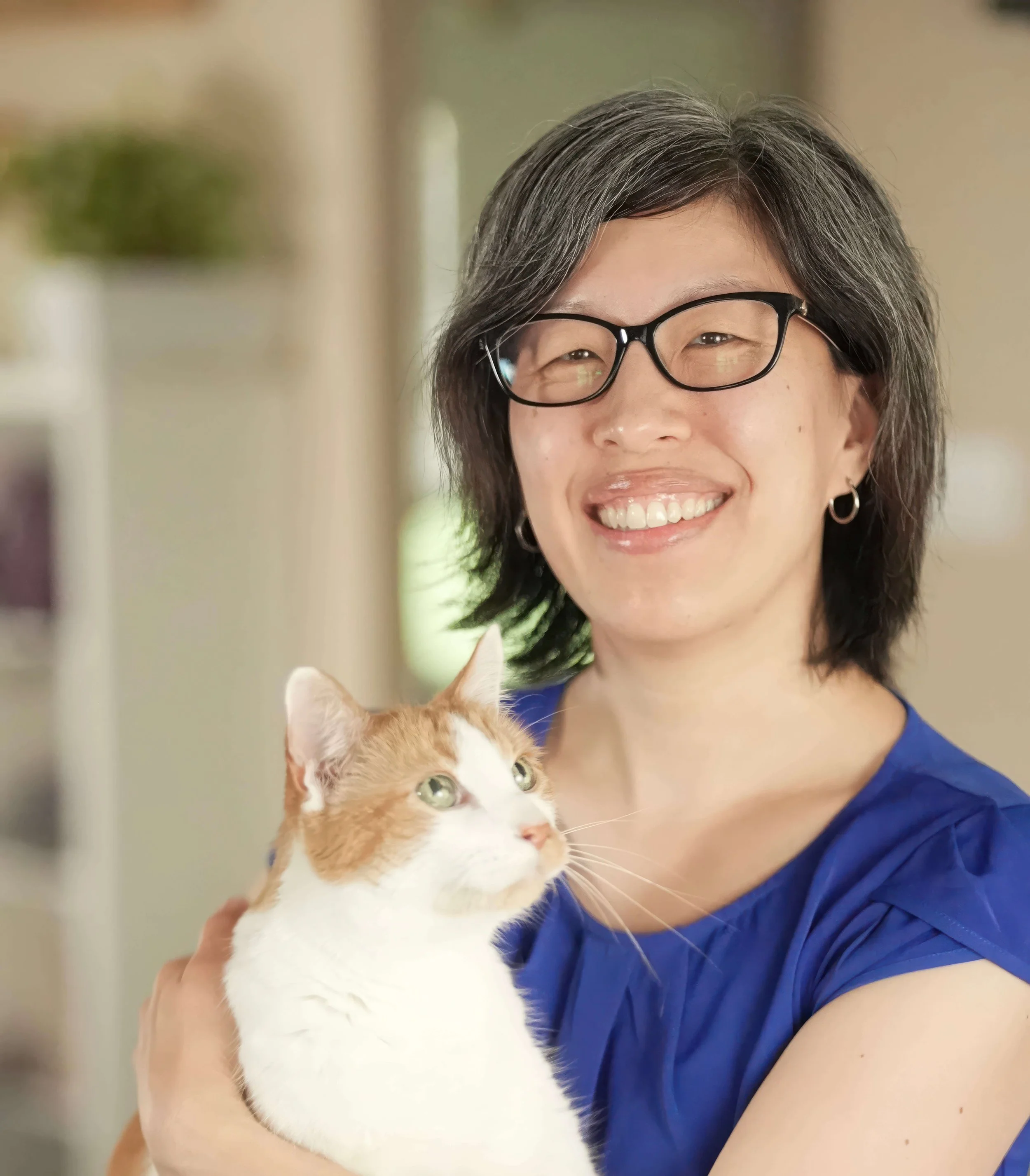 Dr. Julie Liu, cat veterinarian and consultant