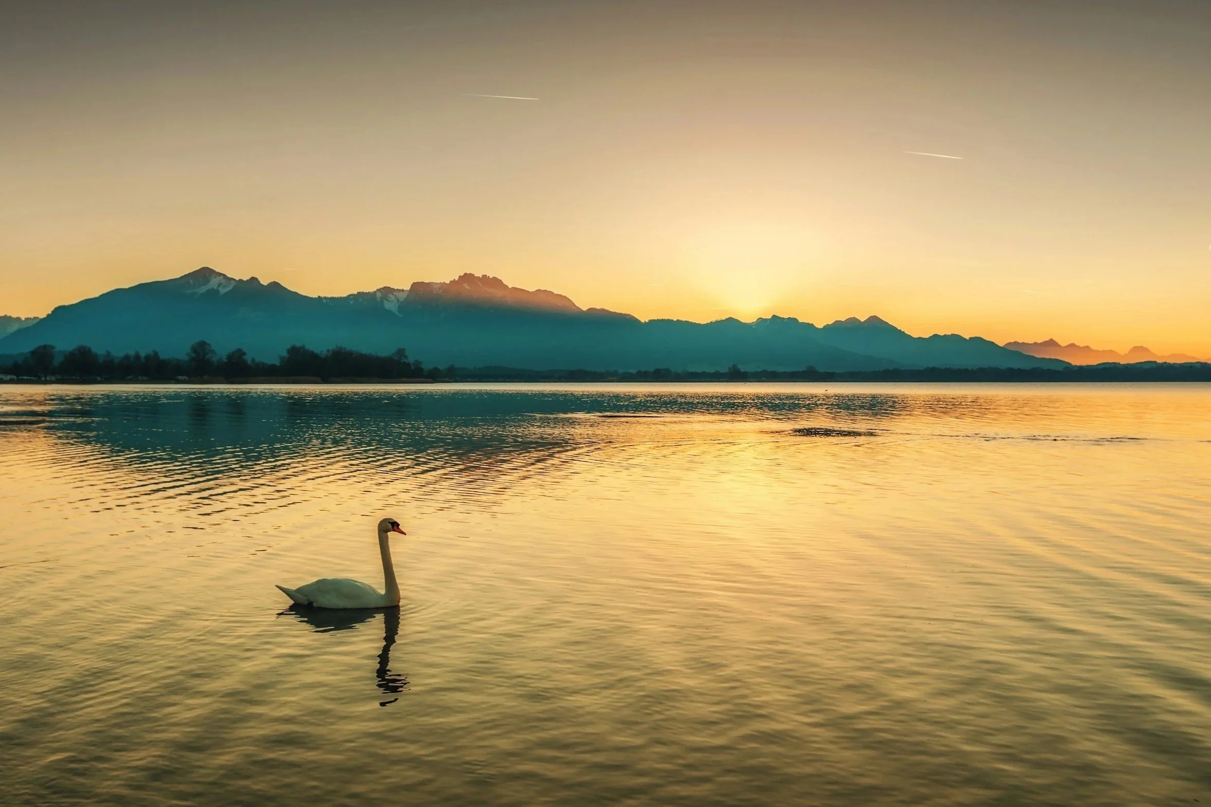 Habit Reversal Training for Body Focused Repetitive Behaviors (skin picking, hair pulling)