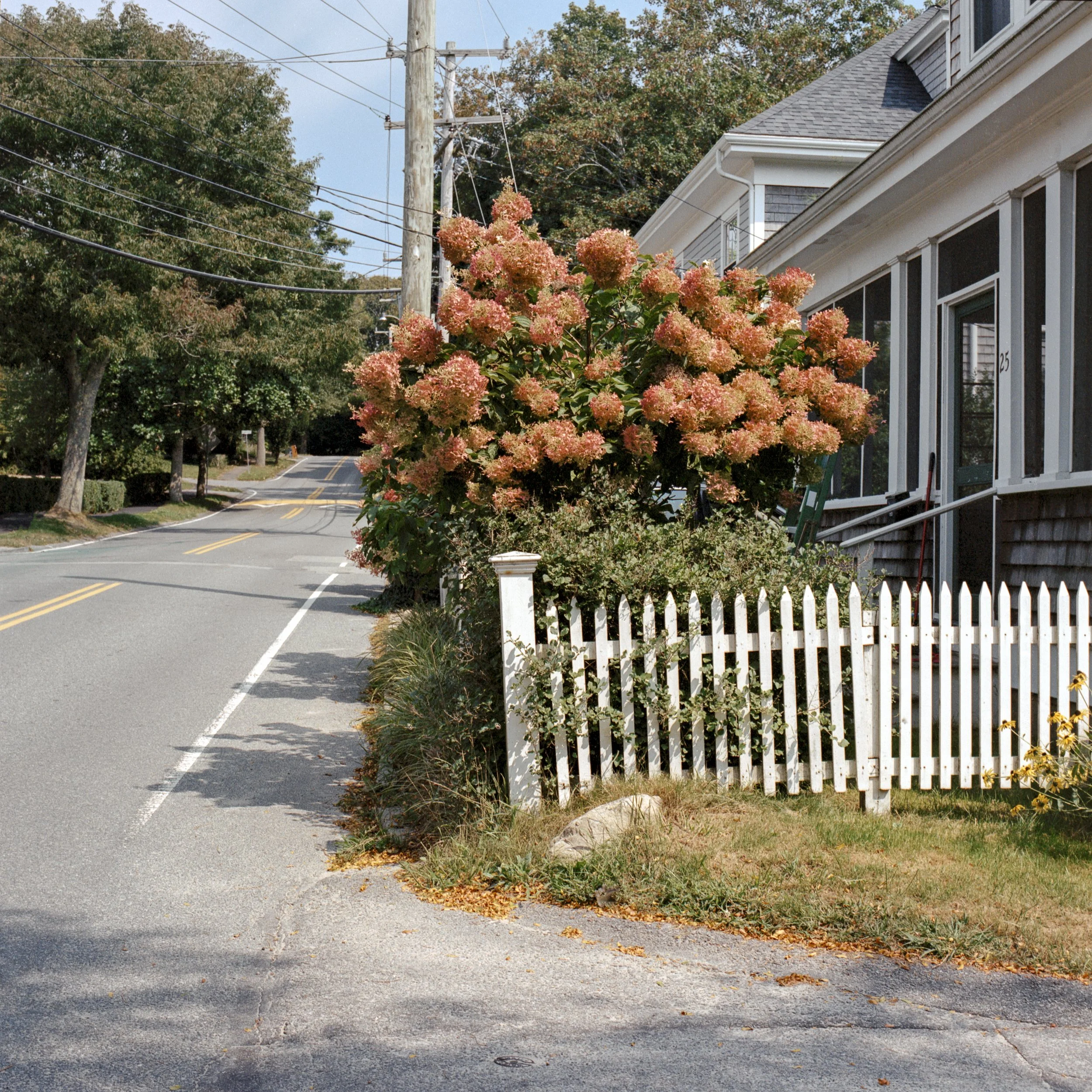 Cape Cod 3-Modifier.jpg