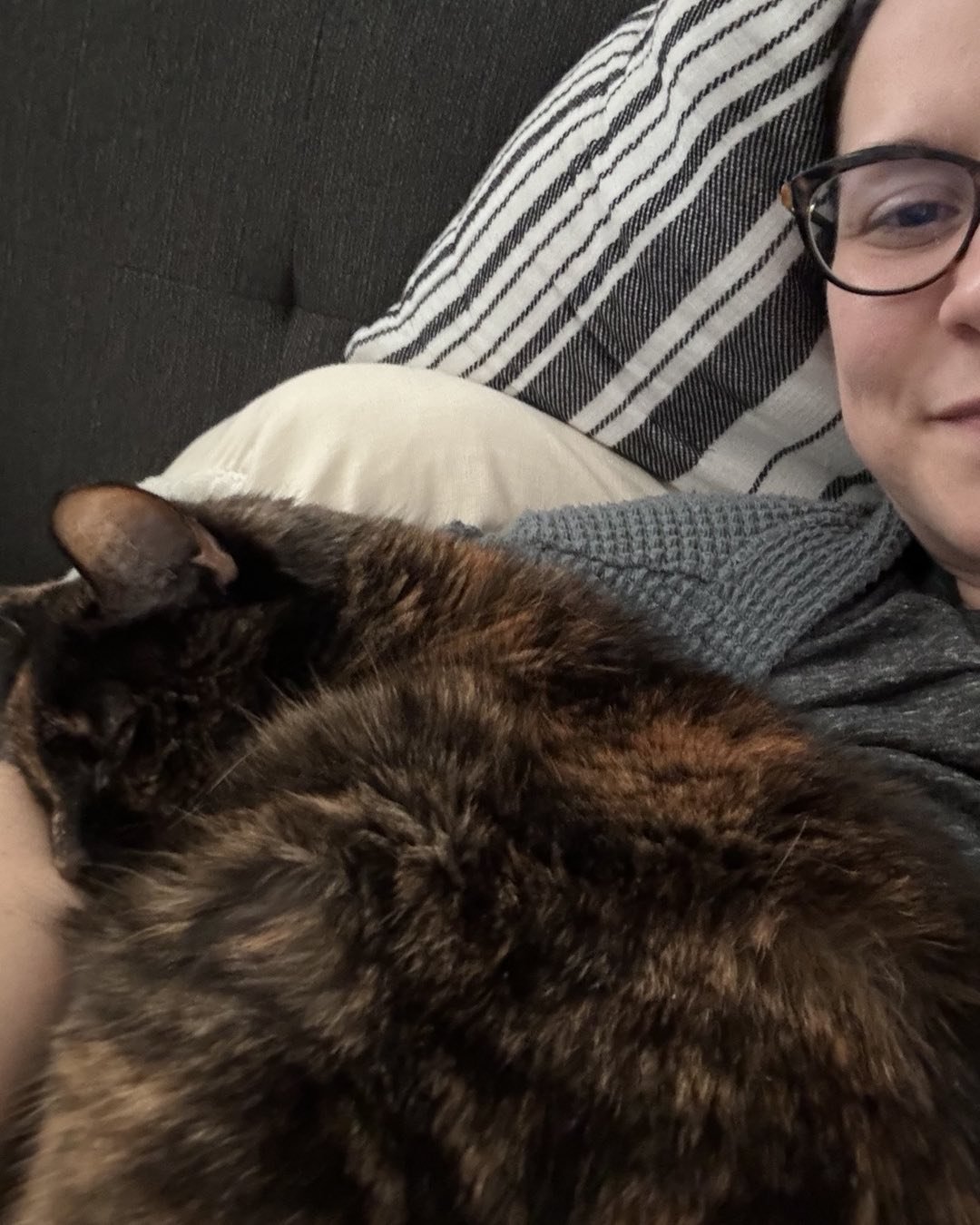 My Chief Meow Officer (CMO) turned 16 this week. You can find her crashing client calls and virtual trainings. She misses her liter mate brother as evidenced by her need for attention. But I do enjoy the daily snuggles.