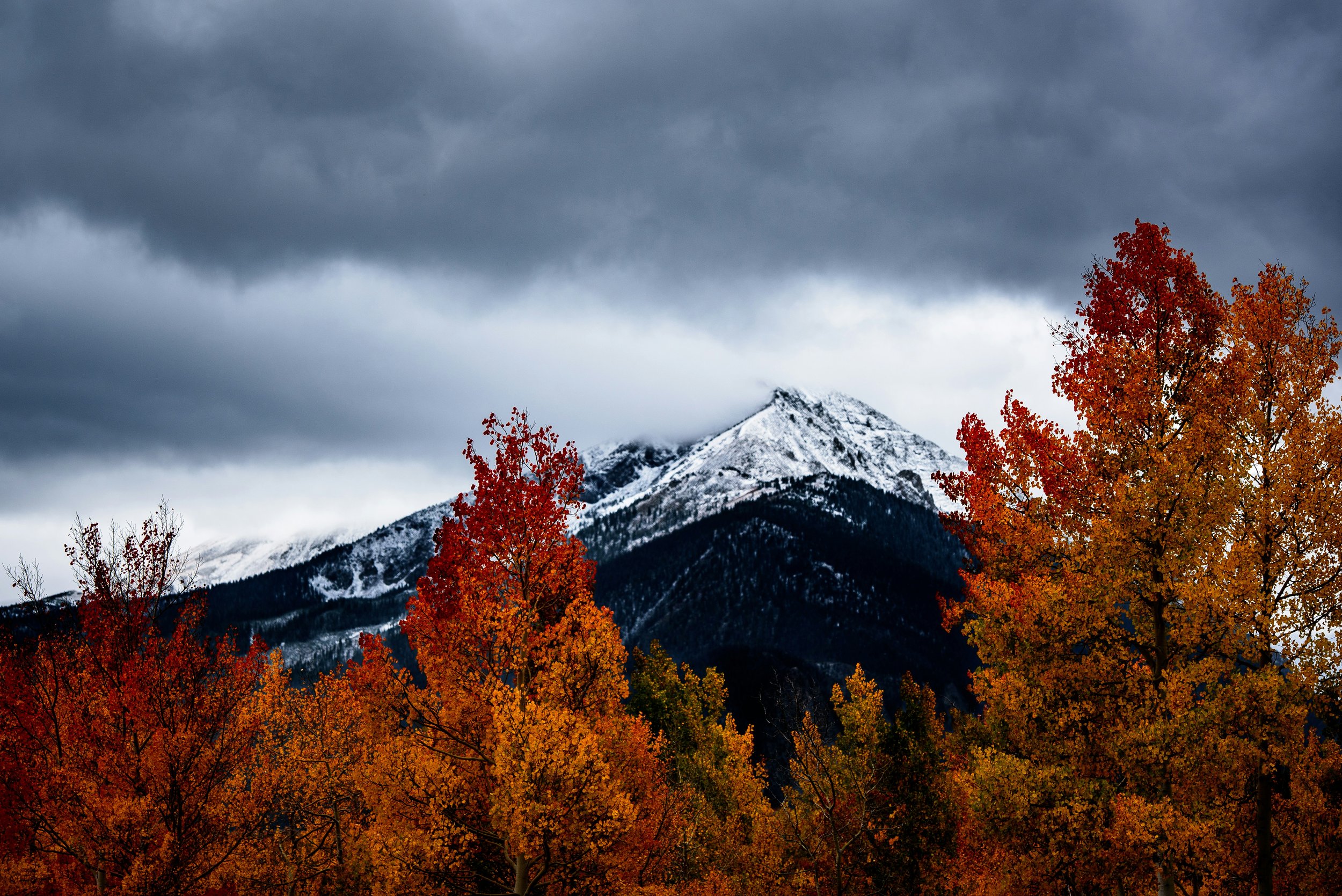 A Home Energy Checkup Before Cold Weather Arrives