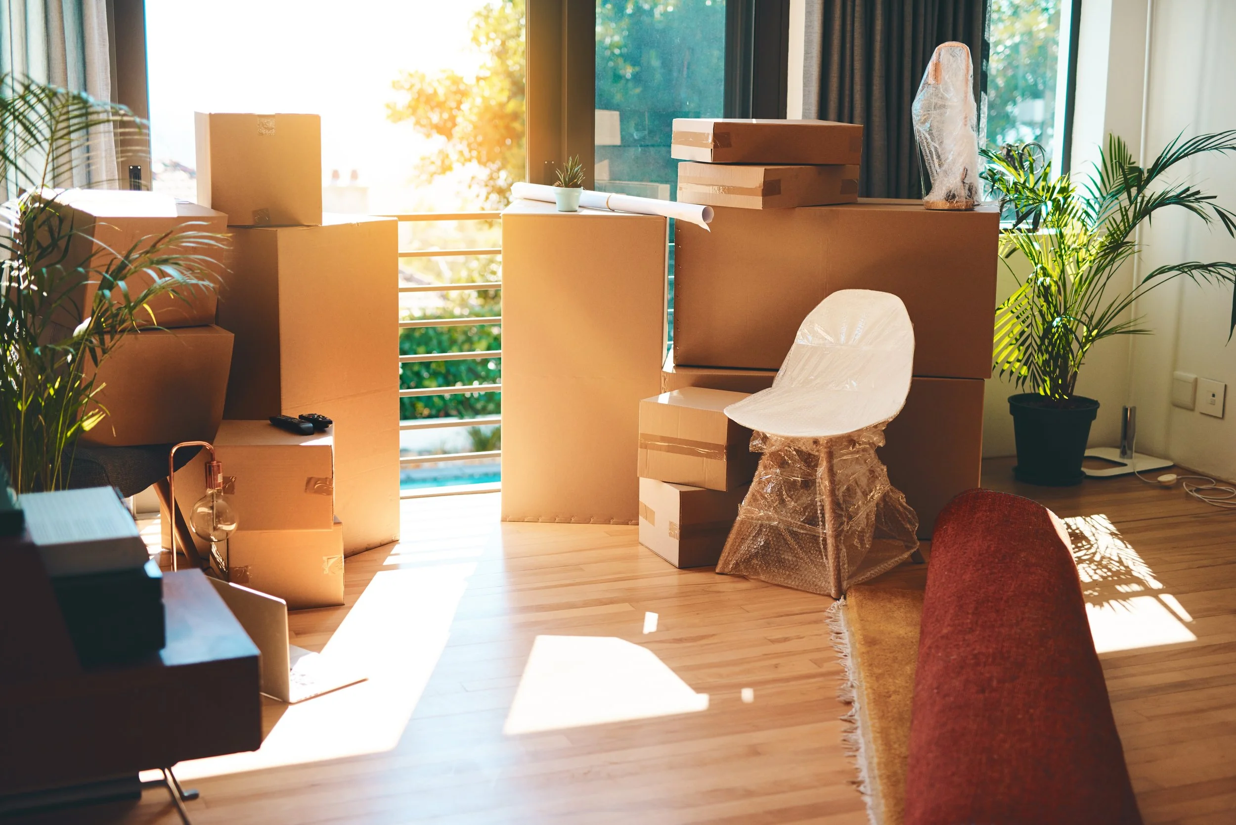 A room with lots of cardboard boxes, a potted plant, wrapped chair, and sunlight streaming in through large windows.