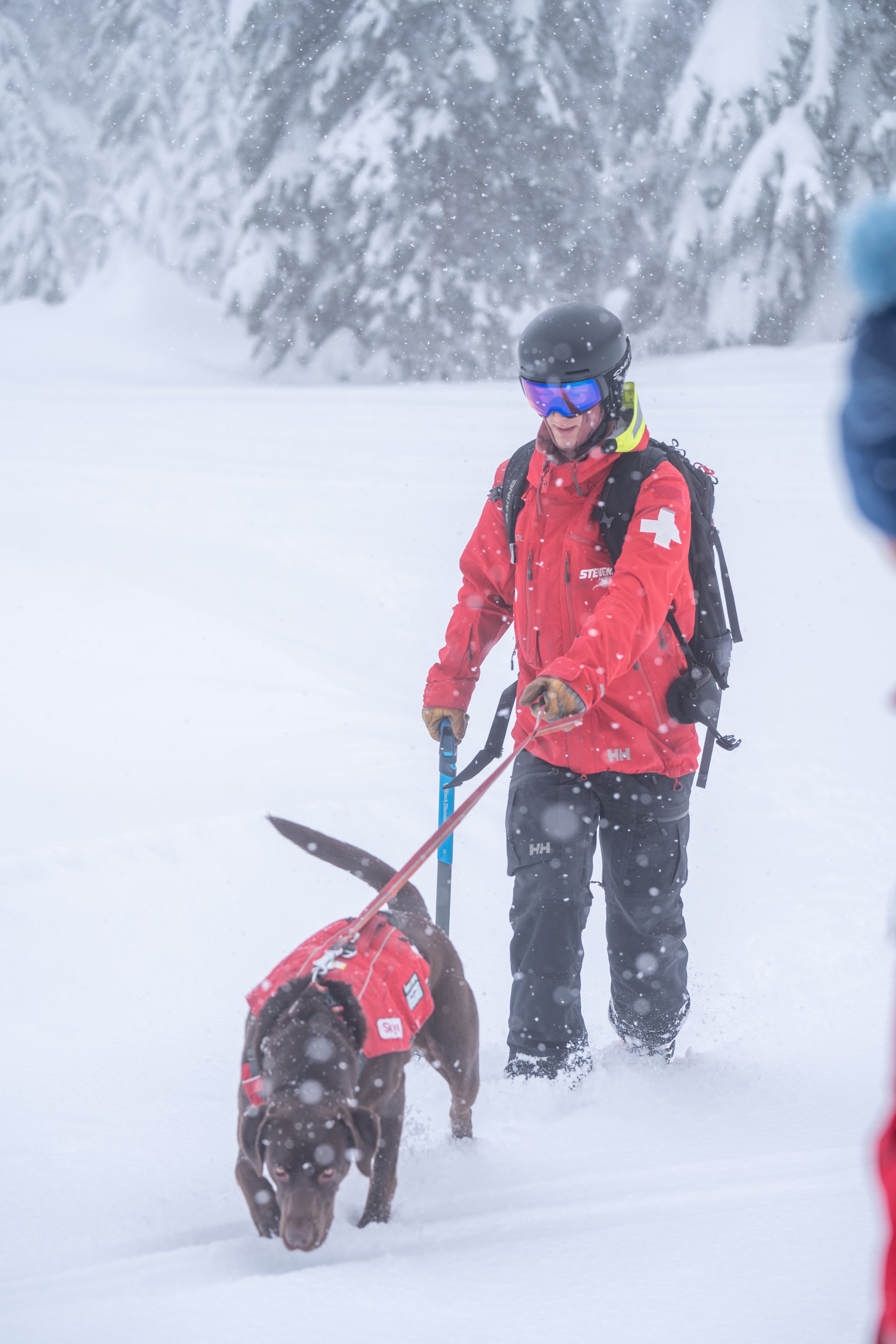 012324_SP_Avidogtraining_DelaneyAdrian_-4.jpg