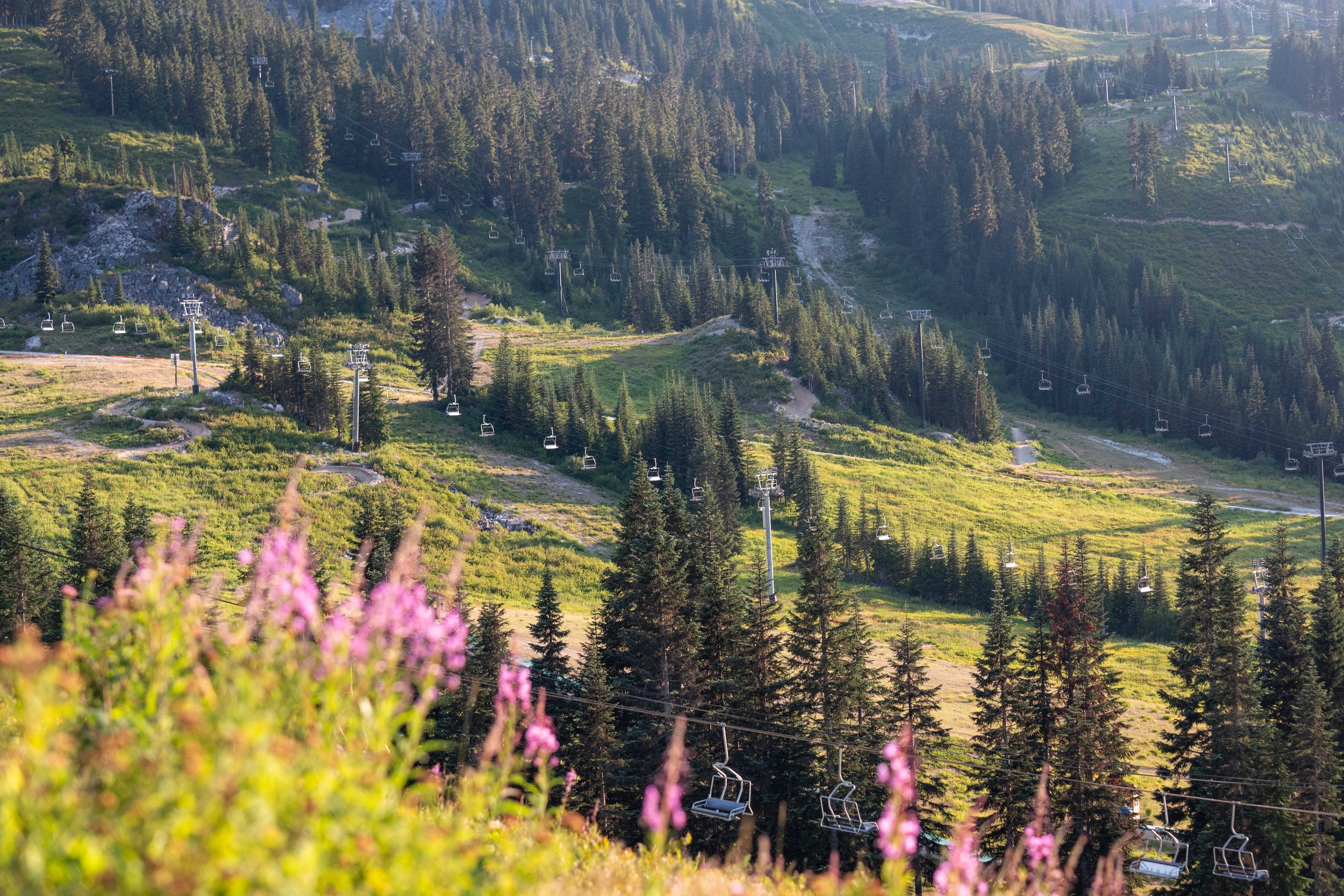 072624_SP_NWMountainChallange_summerentsarchery_DelaneyAdrian_-10.jpeg