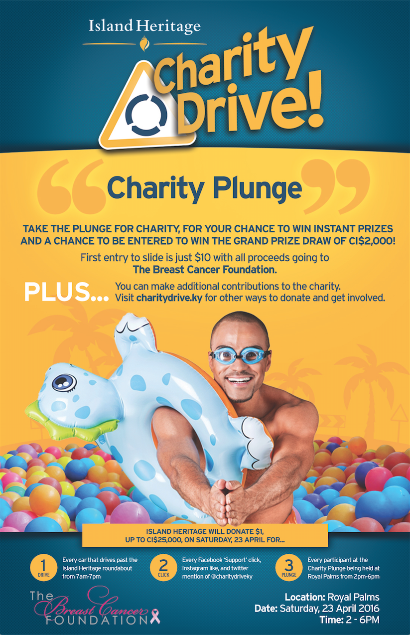 8d-CharityPlunge-flyer.png