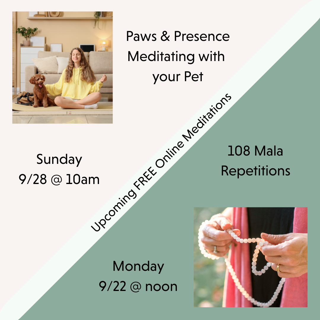 Paws & Presence: Meditating with your Pet