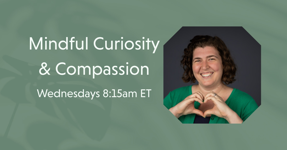 Meditation - Mindful Curiosity &amp; Compassion (Online / Free) 