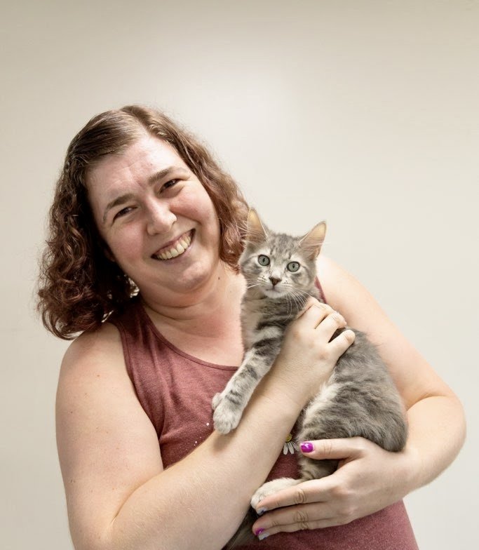 Kitten Chair Yoga at Humane Society of NC Florida
