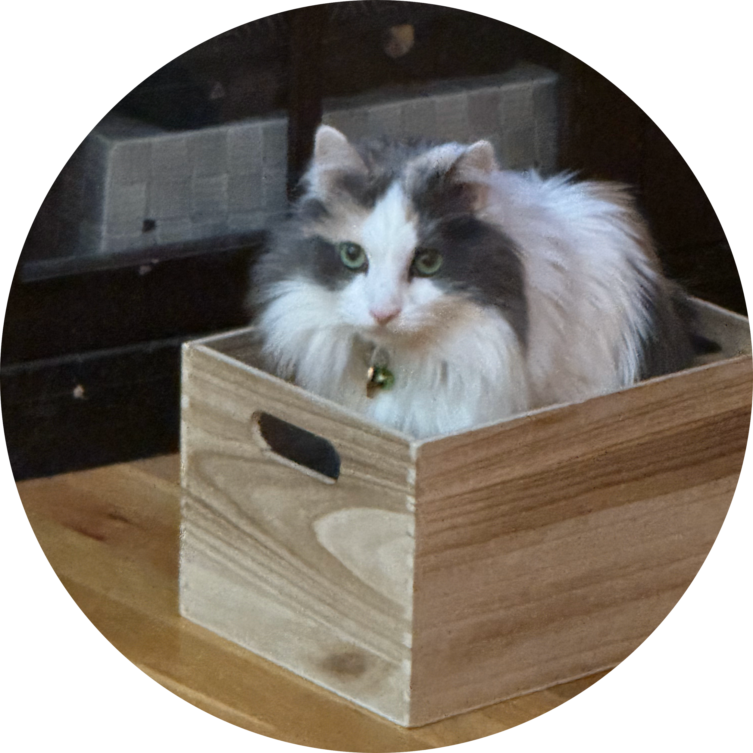 Lola-H_web.png
