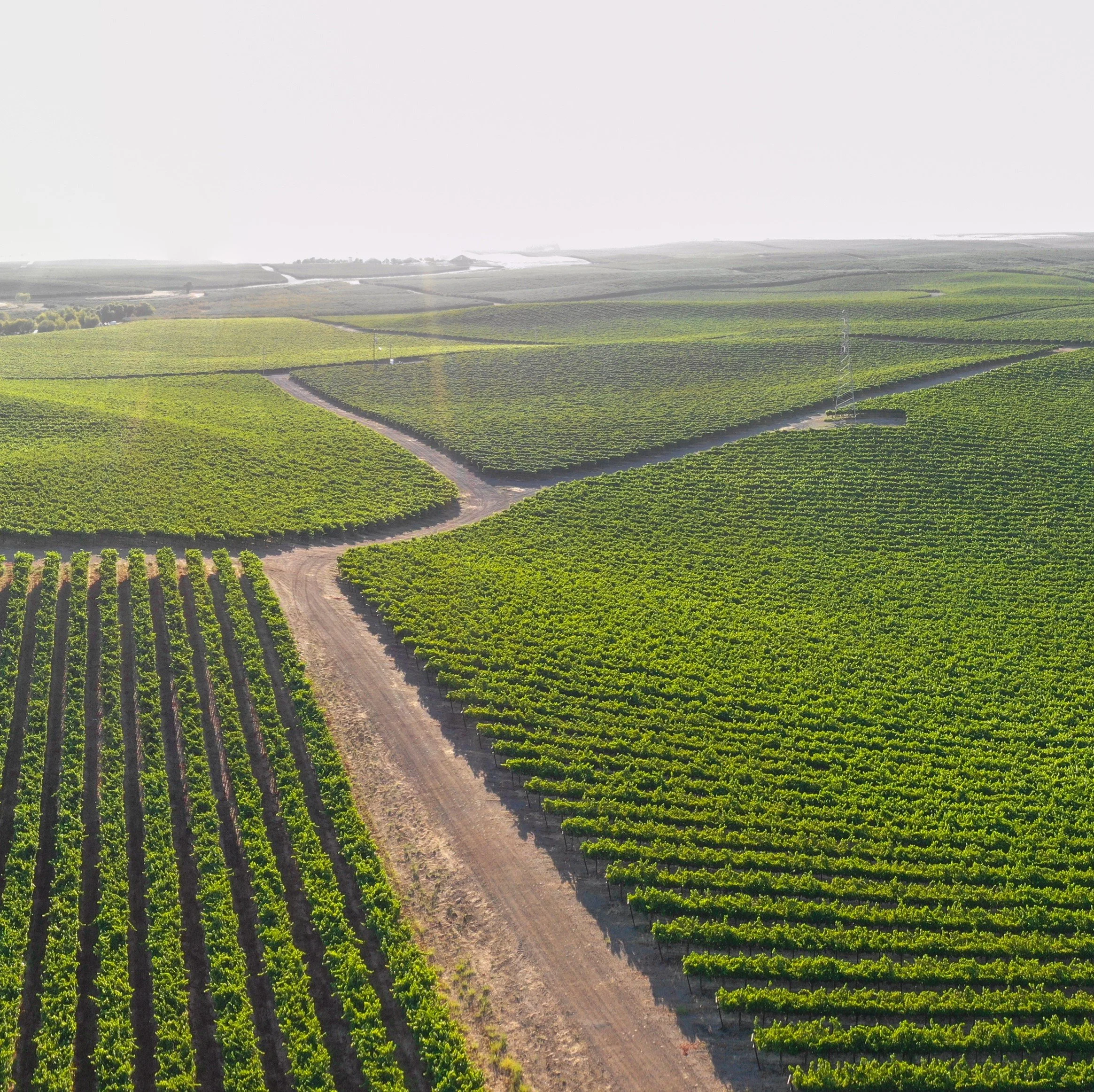 Yolo County Climate Action and Adaptation Plan