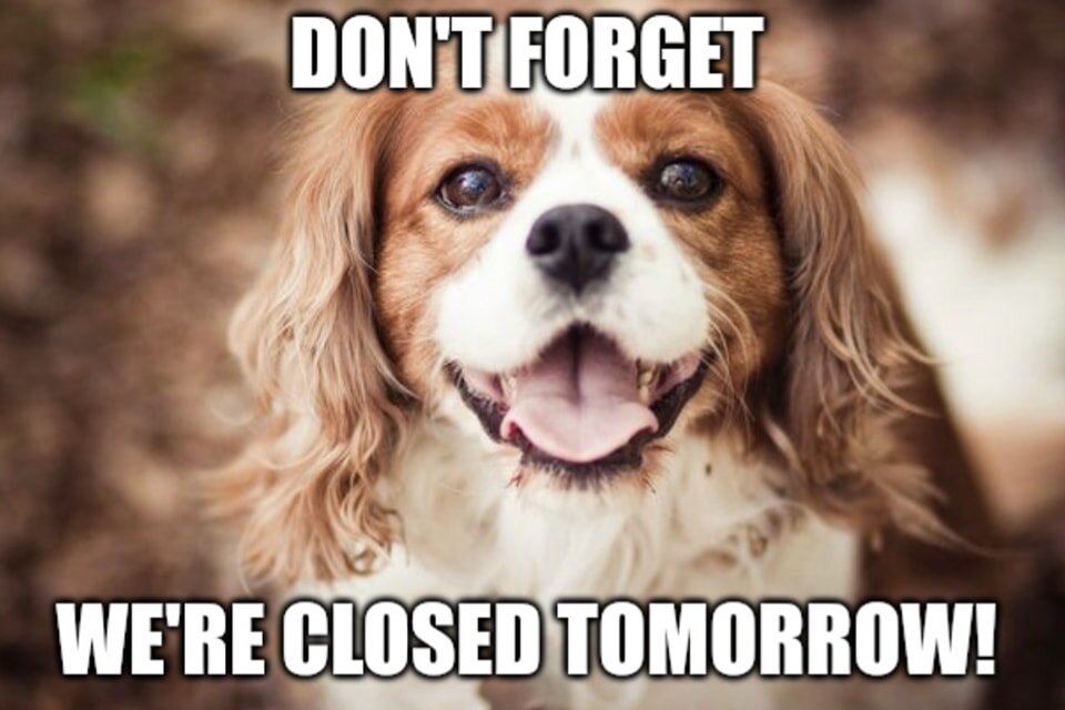 King Charles for attention... 

We're closed tomorrow for the coronation, and we'll see you all back as normal on Tuesday. We hope you all have a wonderful weekend! 

#BOOKLeightonBuzzard #KingCharles #CoronationWeekend