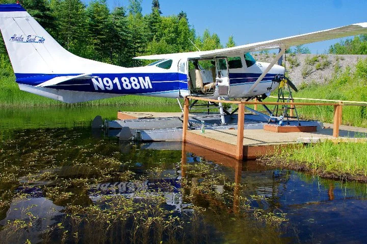 remote services.jpeg