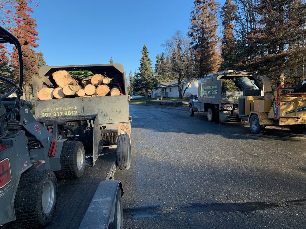 Testimonials — Paul's Tree Service