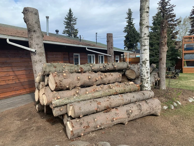 Resources — Paul's Tree Service