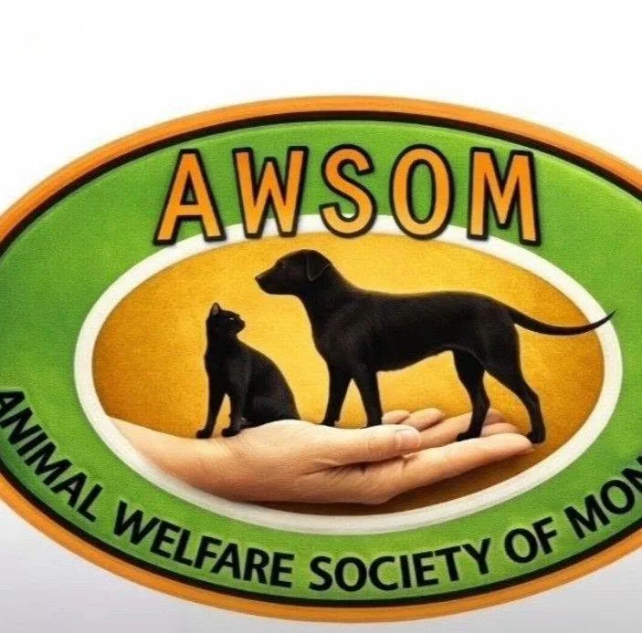 AWSOM-est Car Show 