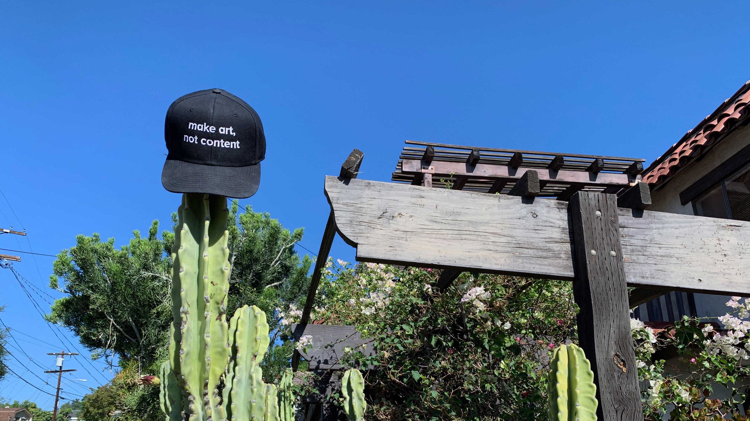 MISSION-STATEMENT-HAT-CACTUS-2-16x9.jpg
