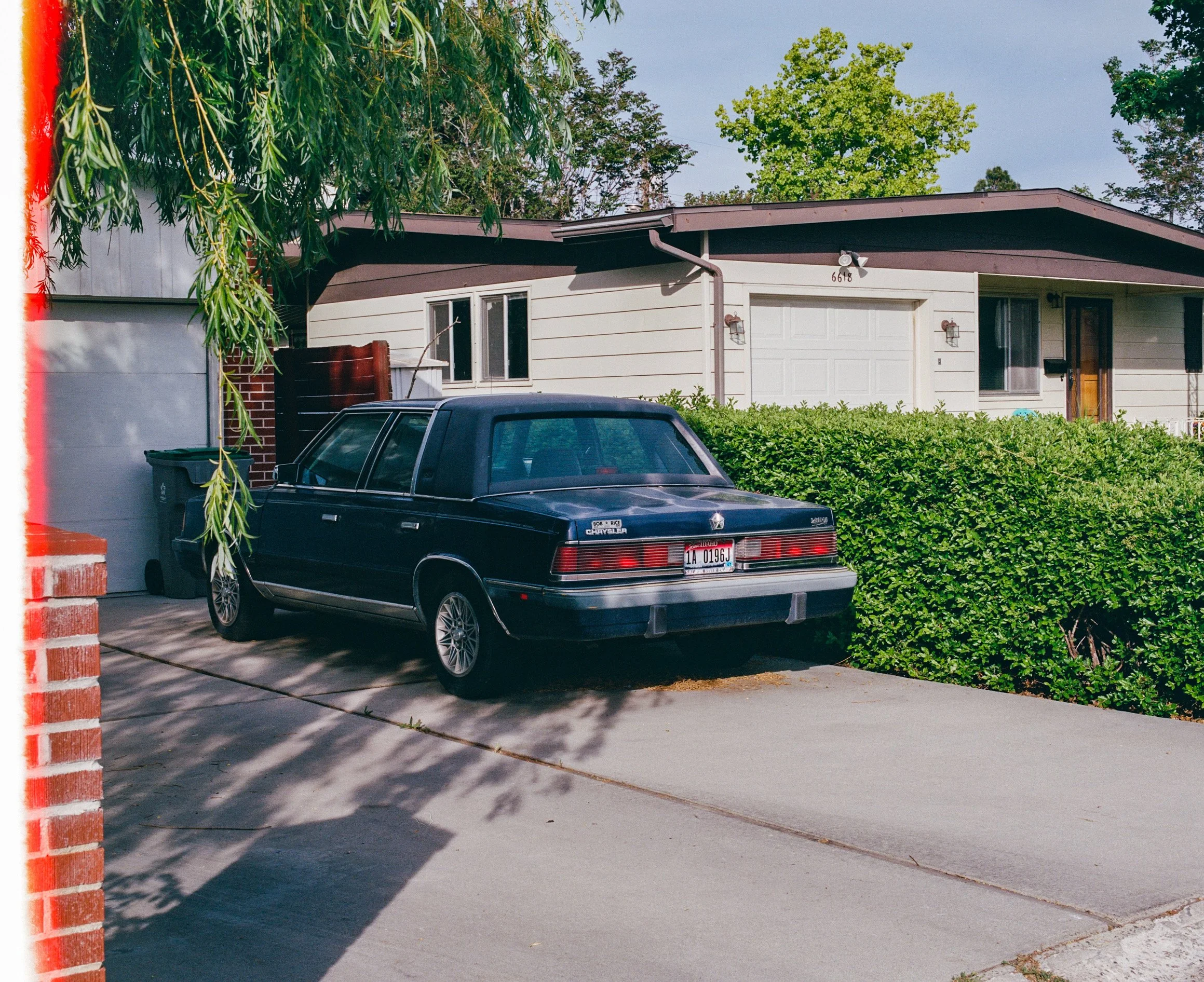 Portra 400 120