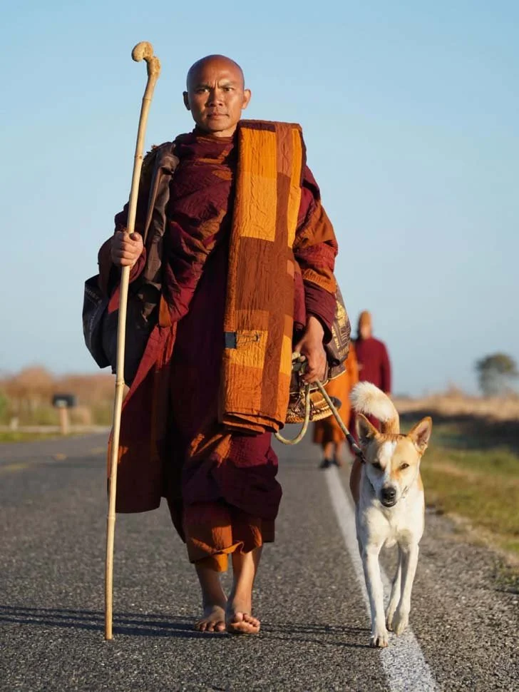 A Buddhist monk in layered maroon and orange robes walks barefoot along a rural road, holding a wooden staff and a leash attached to a small tan-and-white dog beside him, with another monk following in the distance.