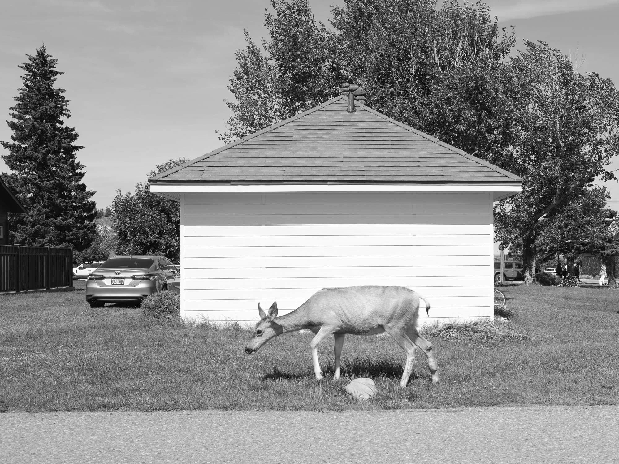 DSCF2958 - fullsize-2.jpg