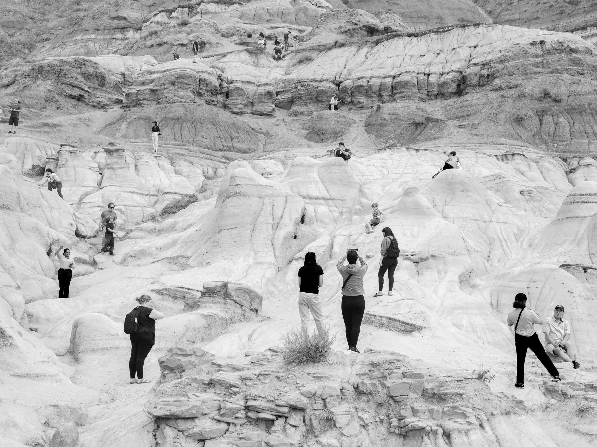 DSCF2422 - fullsize-2.jpg