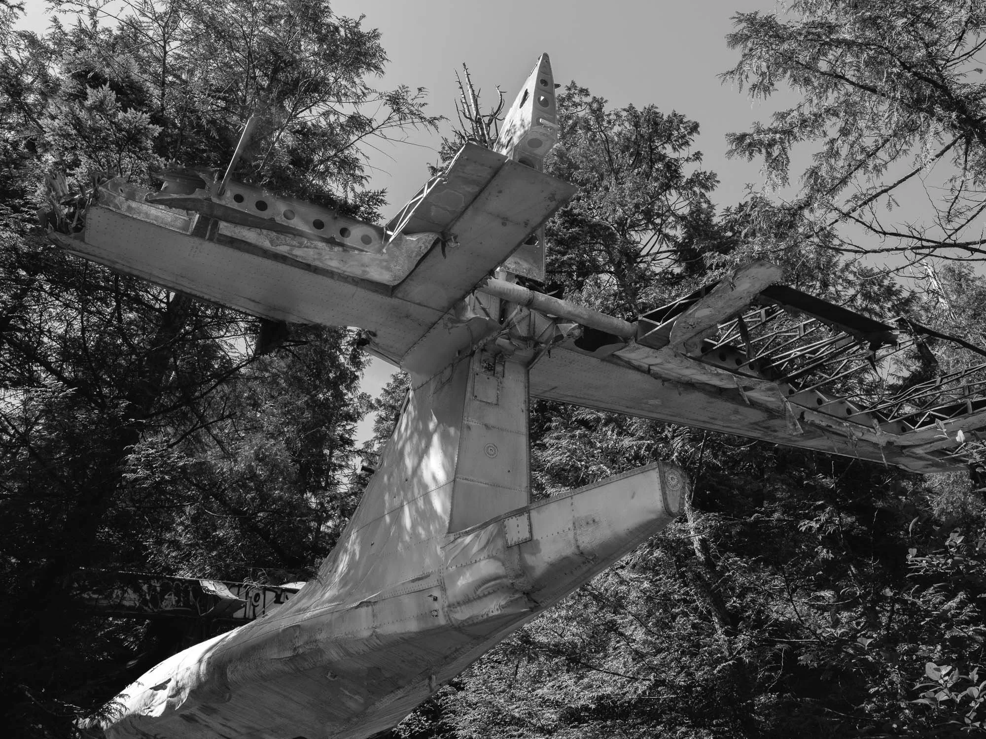 DSCF5618 - fullsize-2.jpg