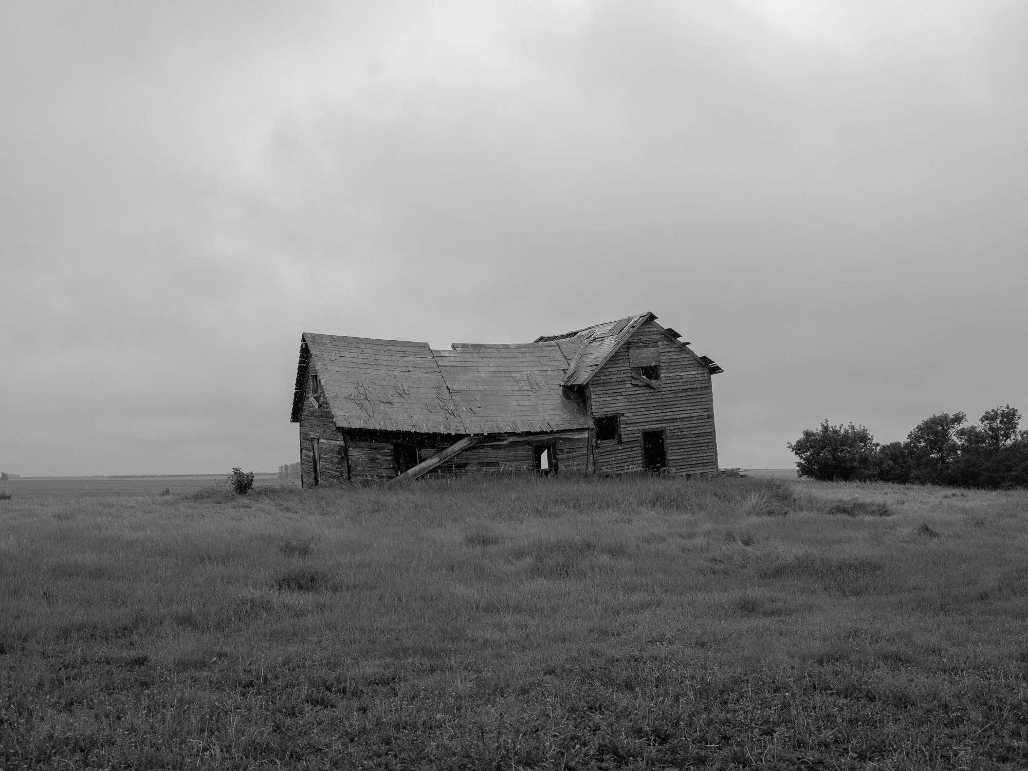 DSCF2621 - fullsize-2.jpg