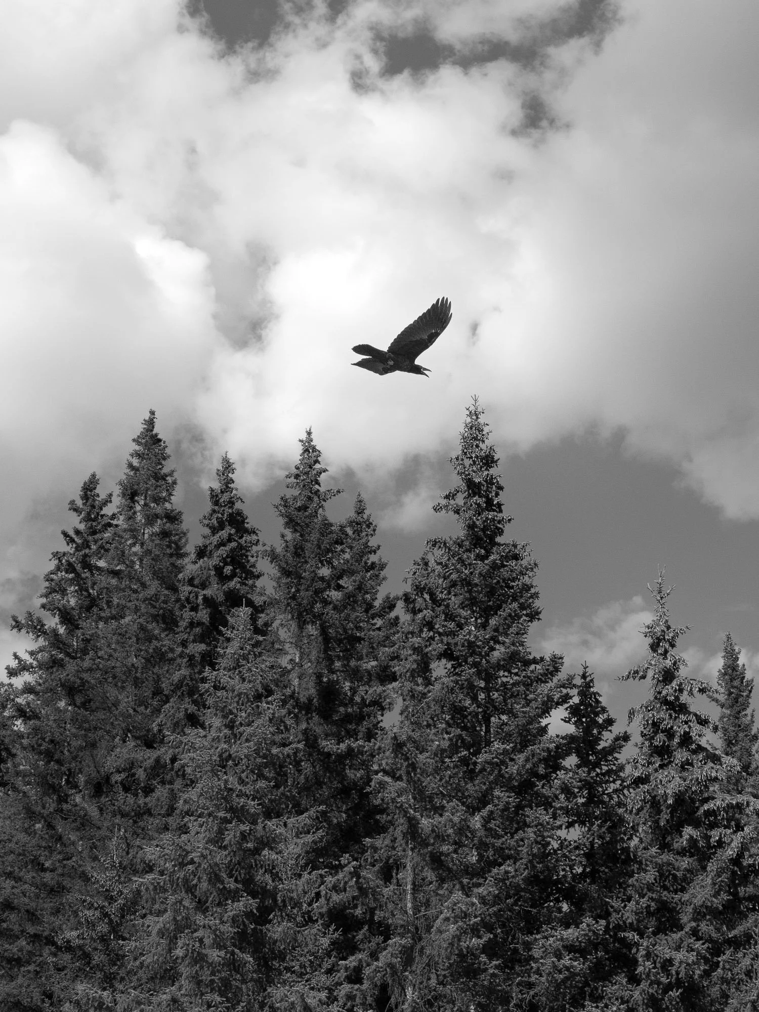 DSCF3840 - fullsize-2.jpg