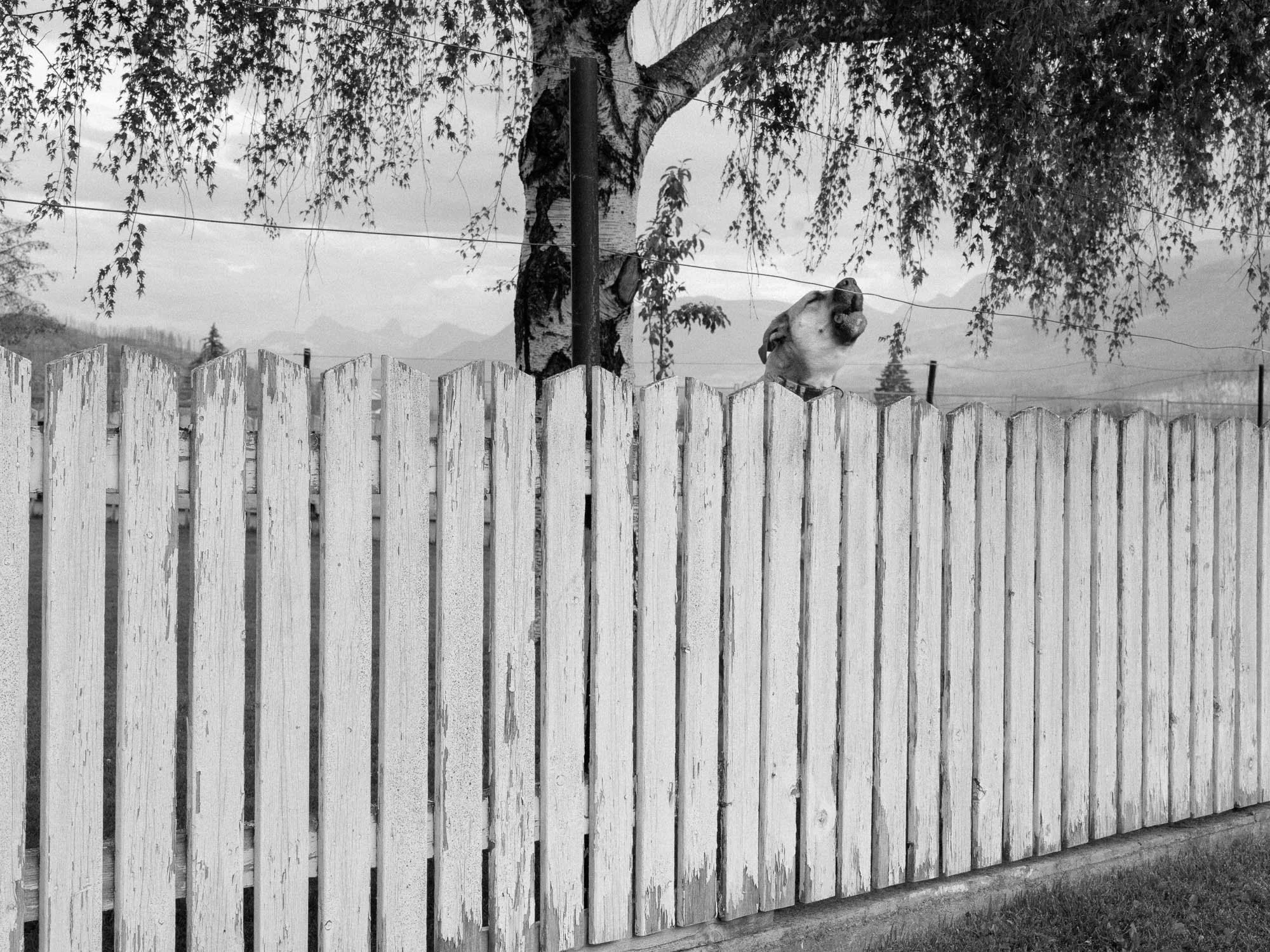 DSCF4896 - fullsize-2.jpg