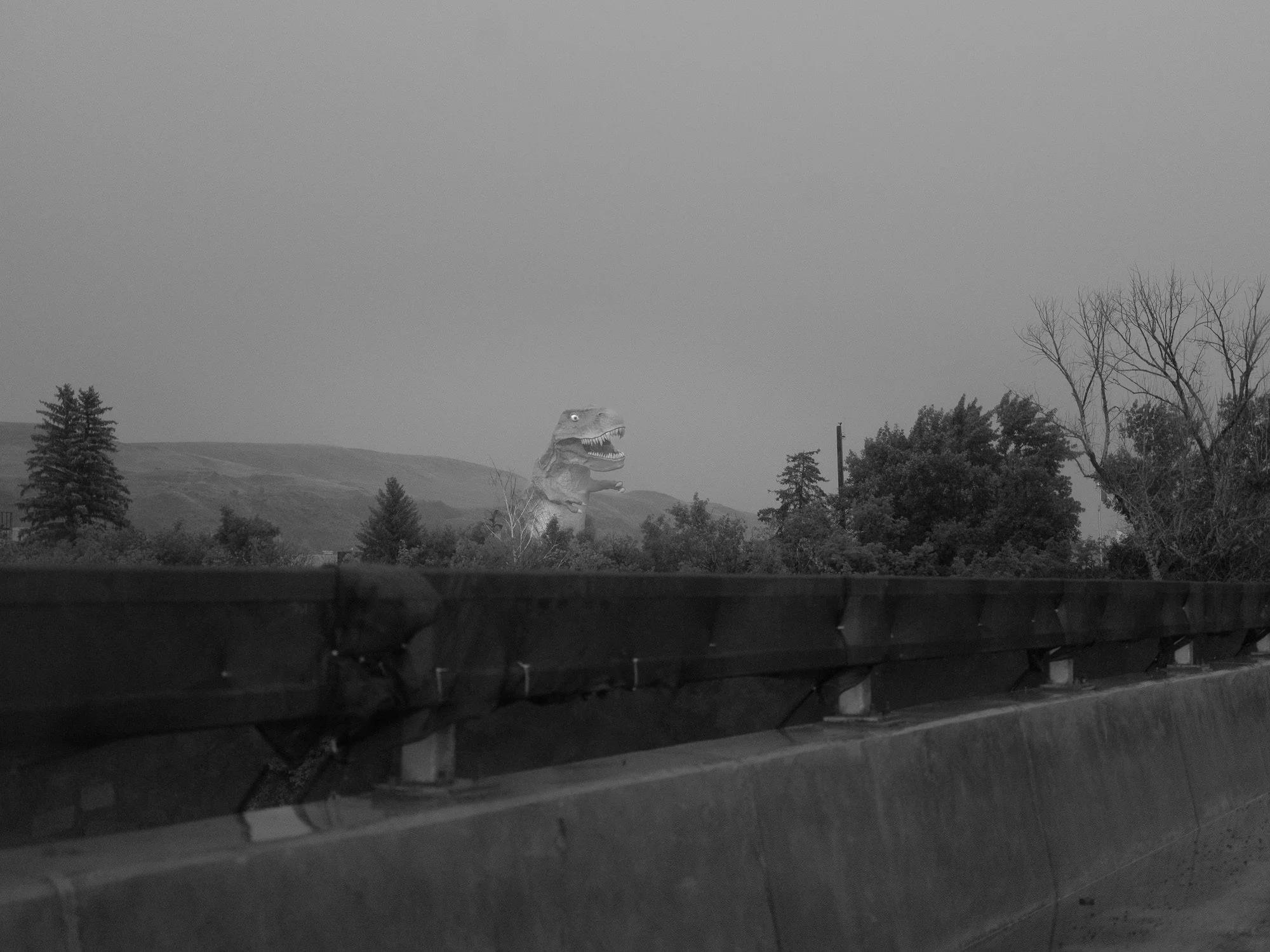 DSCF2544 - fullsize-2.jpg