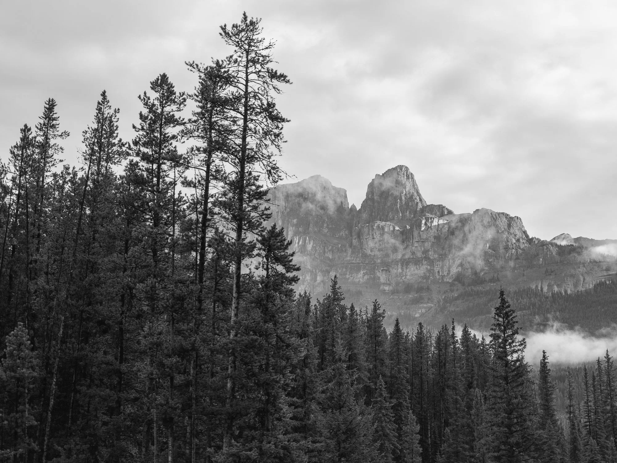 DSCF3449 - fullsize.jpg