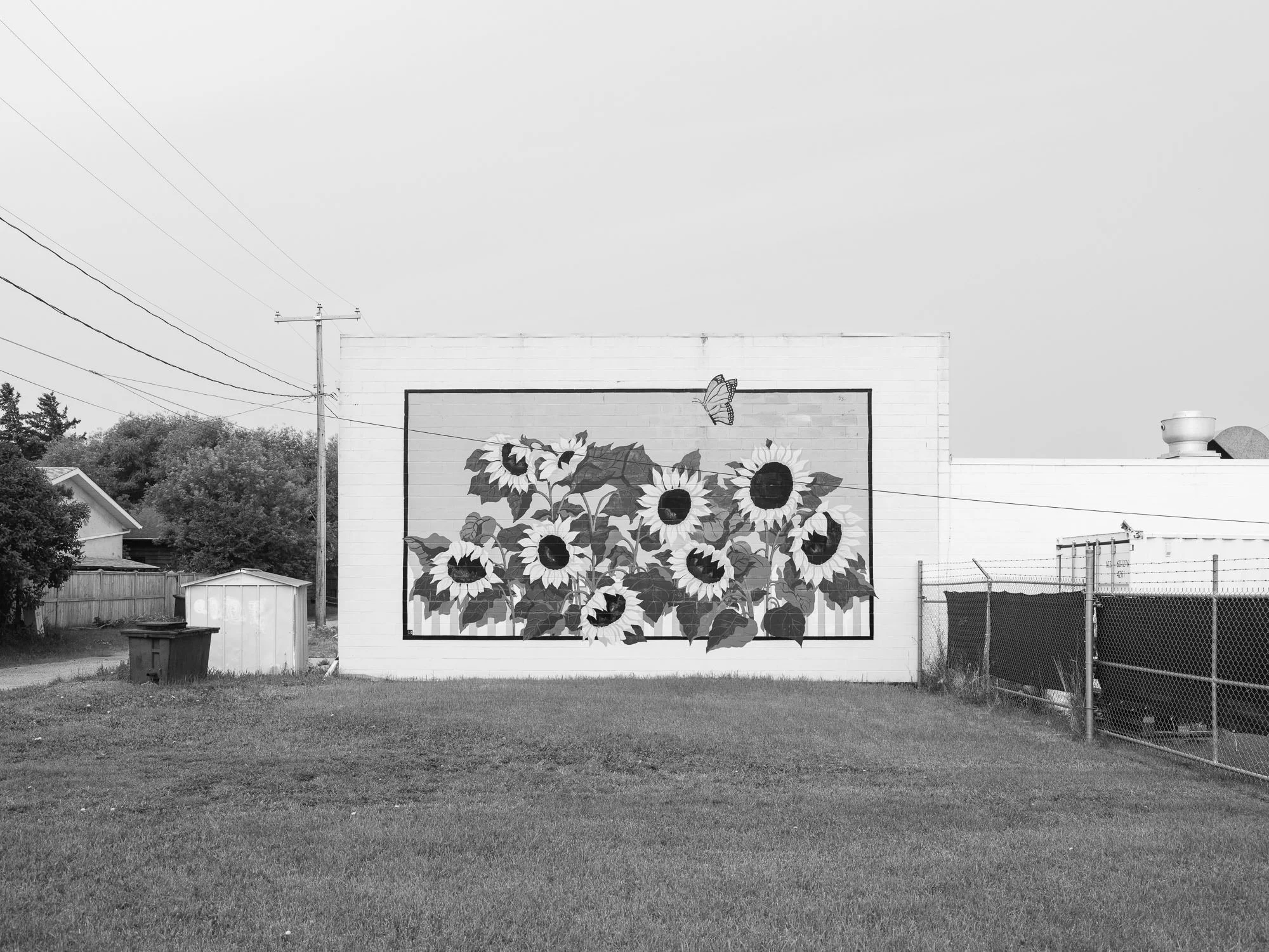 DSCF2312 - fullsize-2.jpg