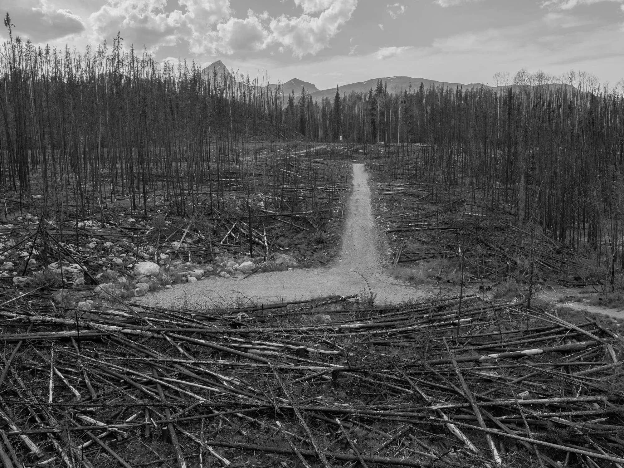 DSCF4261 - fullsize-2.jpg