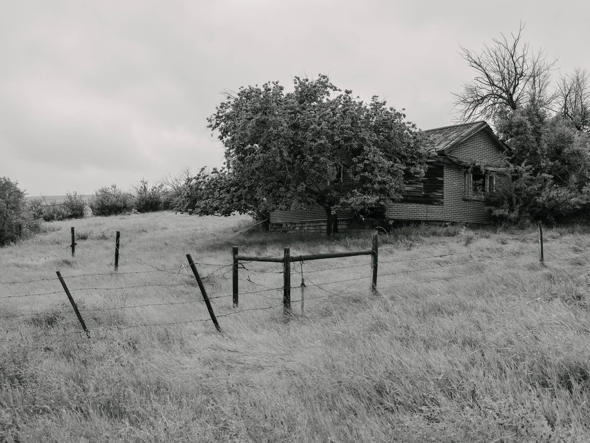 DSCF2594 - fullsize-2.jpg