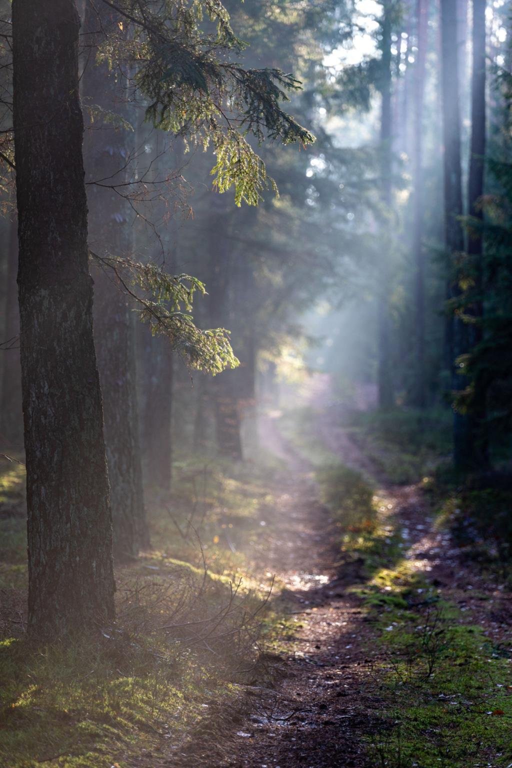 What Happens in EMDR Therapy? A Gentle Guide to the EMDR Process