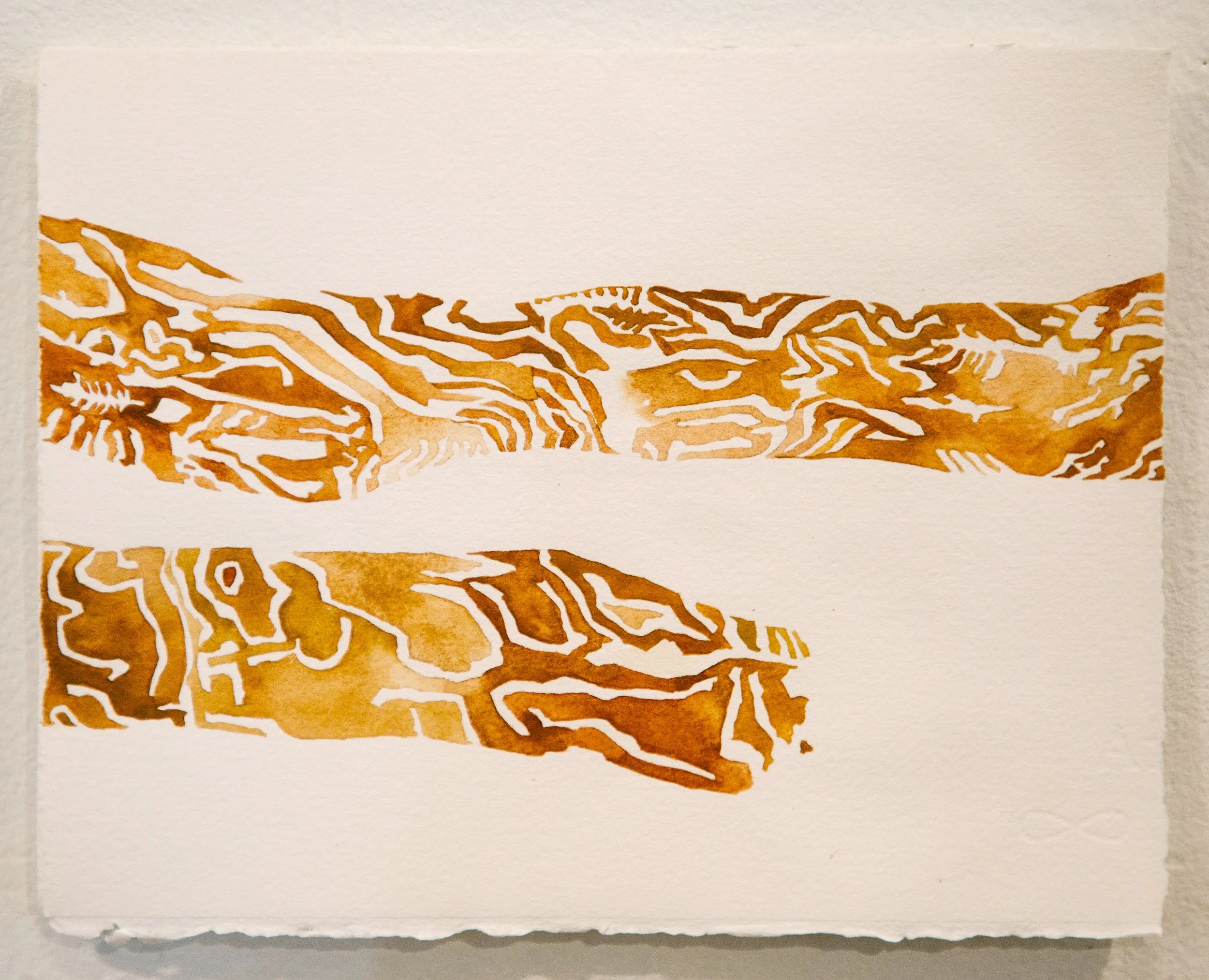 Markings of fir engraver beetle, Scolytus ventralis; gouache on paper, 2025