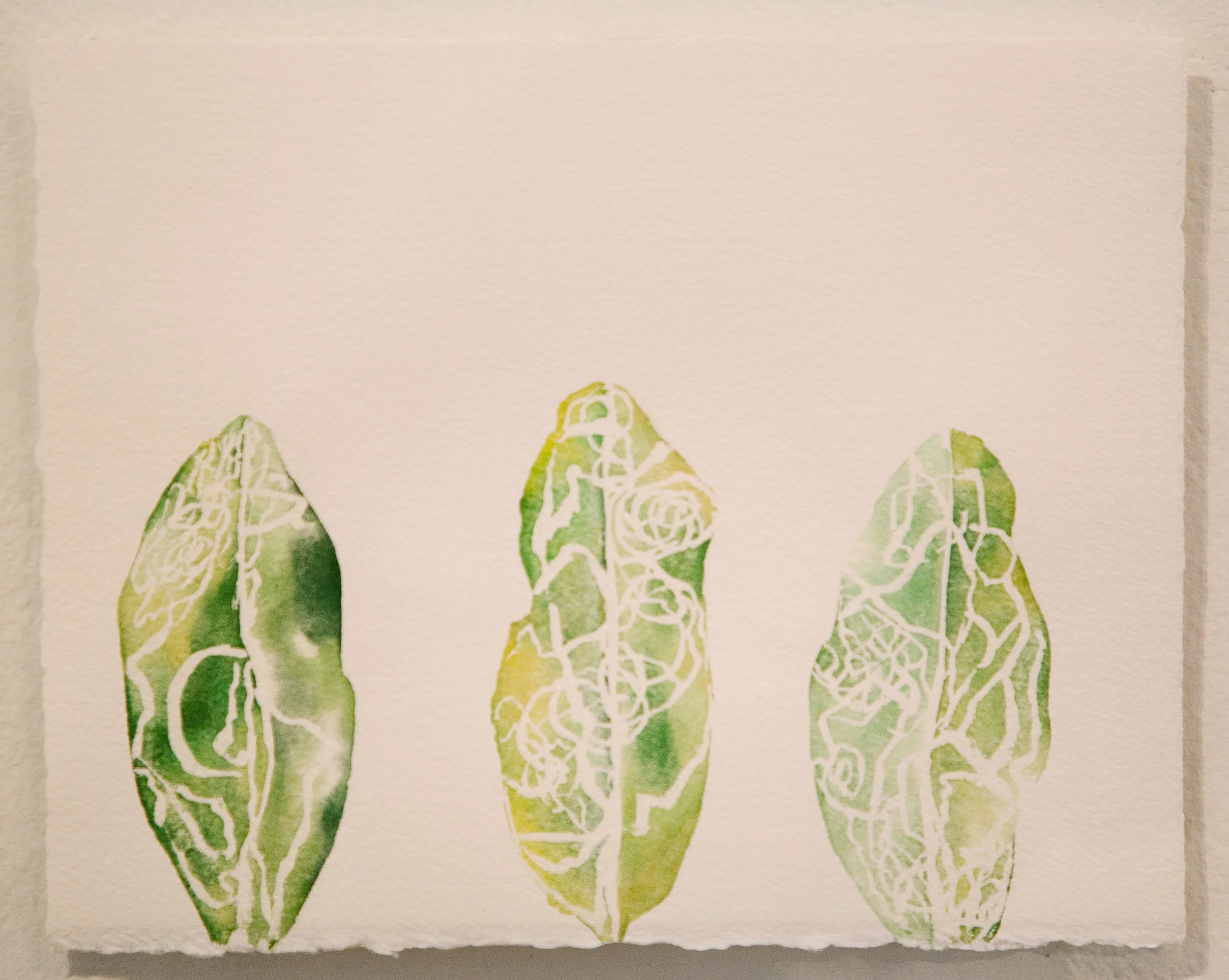 Markings of madrone leaf miner moth, Marmara arbutiella; gouache on paper, 2025