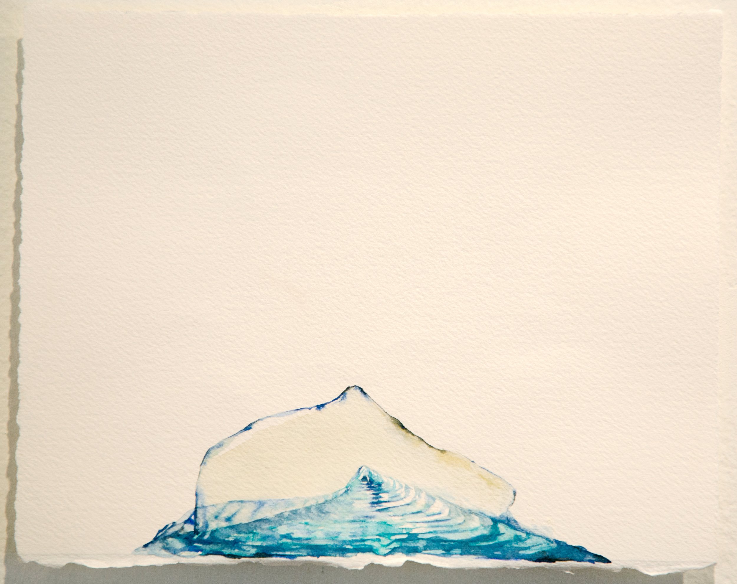 By-the-wind sailor, Velella velella; gouache on paper, 2025