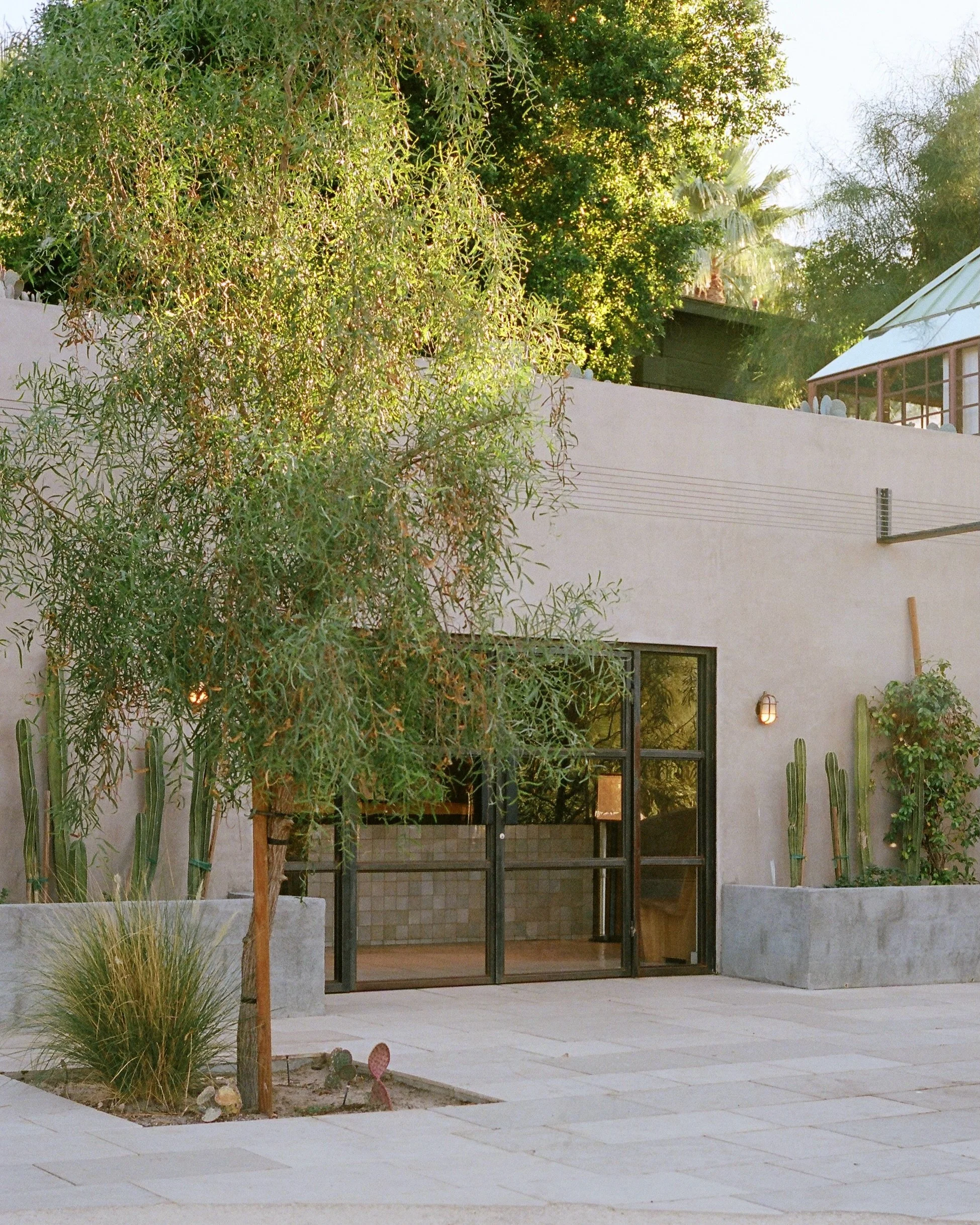 The desert is one of my favorite places to document on film 🎞️☀️🌵

@twobunchpalms on 35mm film

&bull;
&bull;
Palm Springs Wedding Photographer, Los Angeles Wedding Photographer, Santa Barbara Wedding Photographer, SoCal Wedding Photographer, Film 