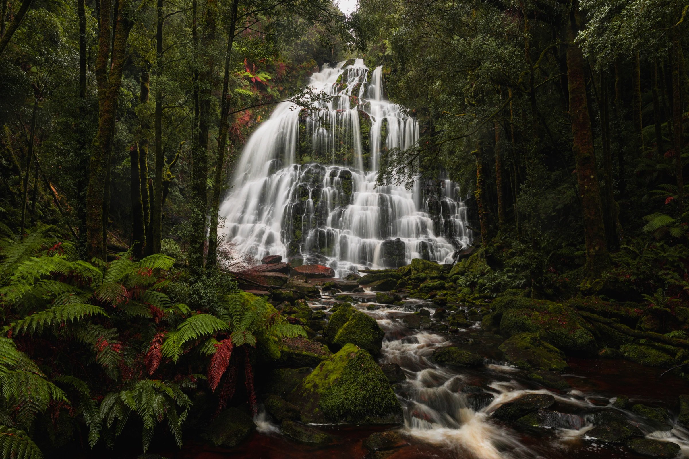 nelson-falls-tasmania-print-art.jpg